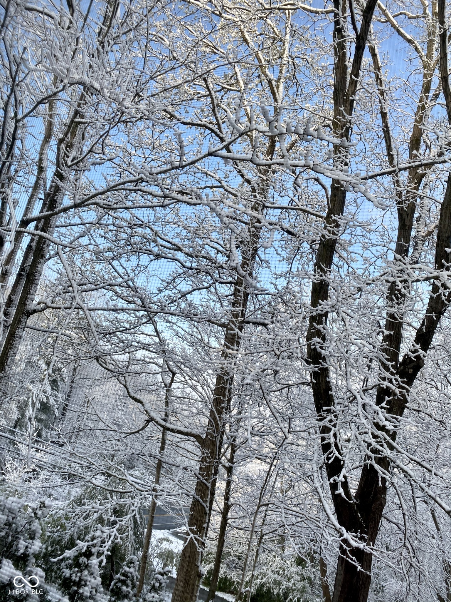 8310 Fall Creek Road