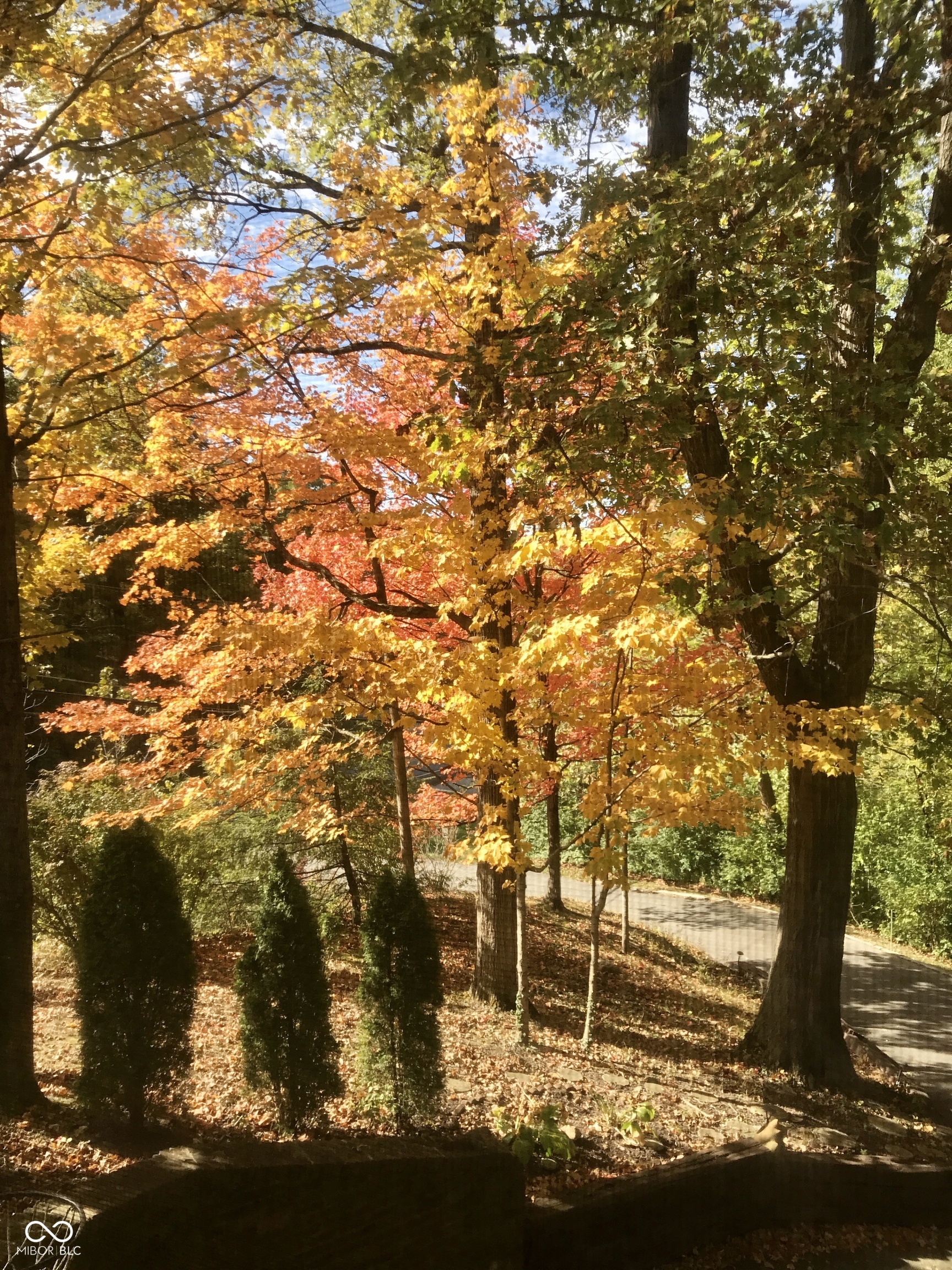 8310 Fall Creek Road