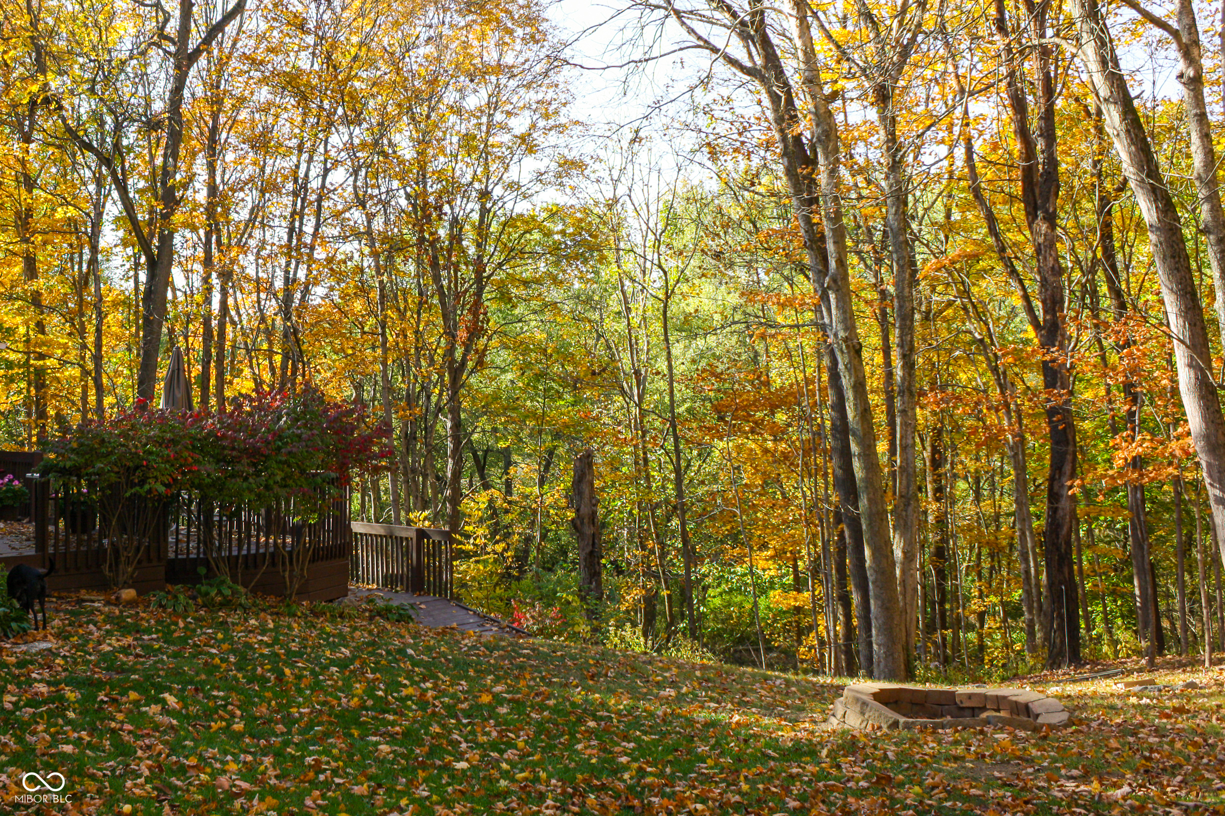 8310 Fall Creek Road