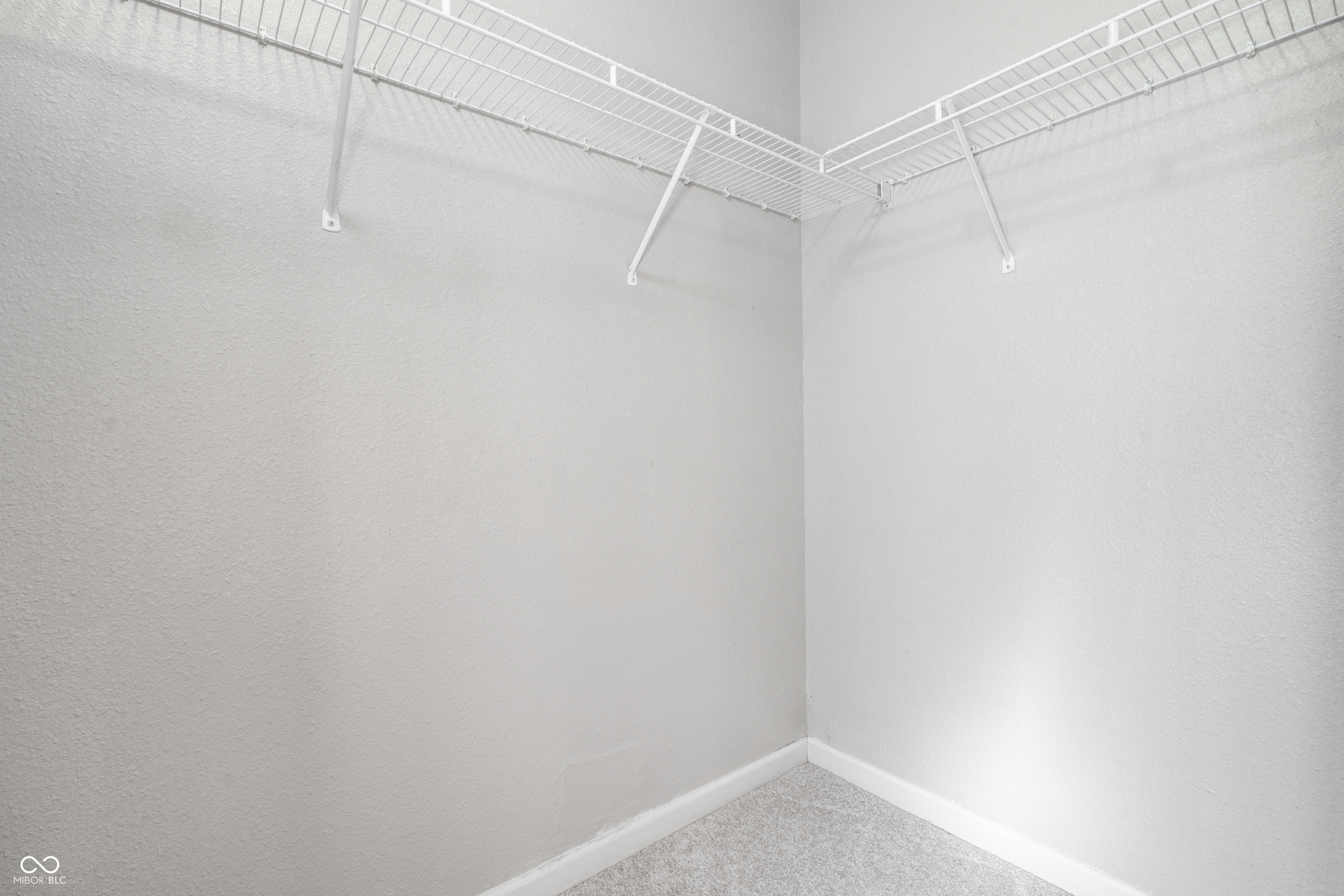 10513 Blue Springs Lane