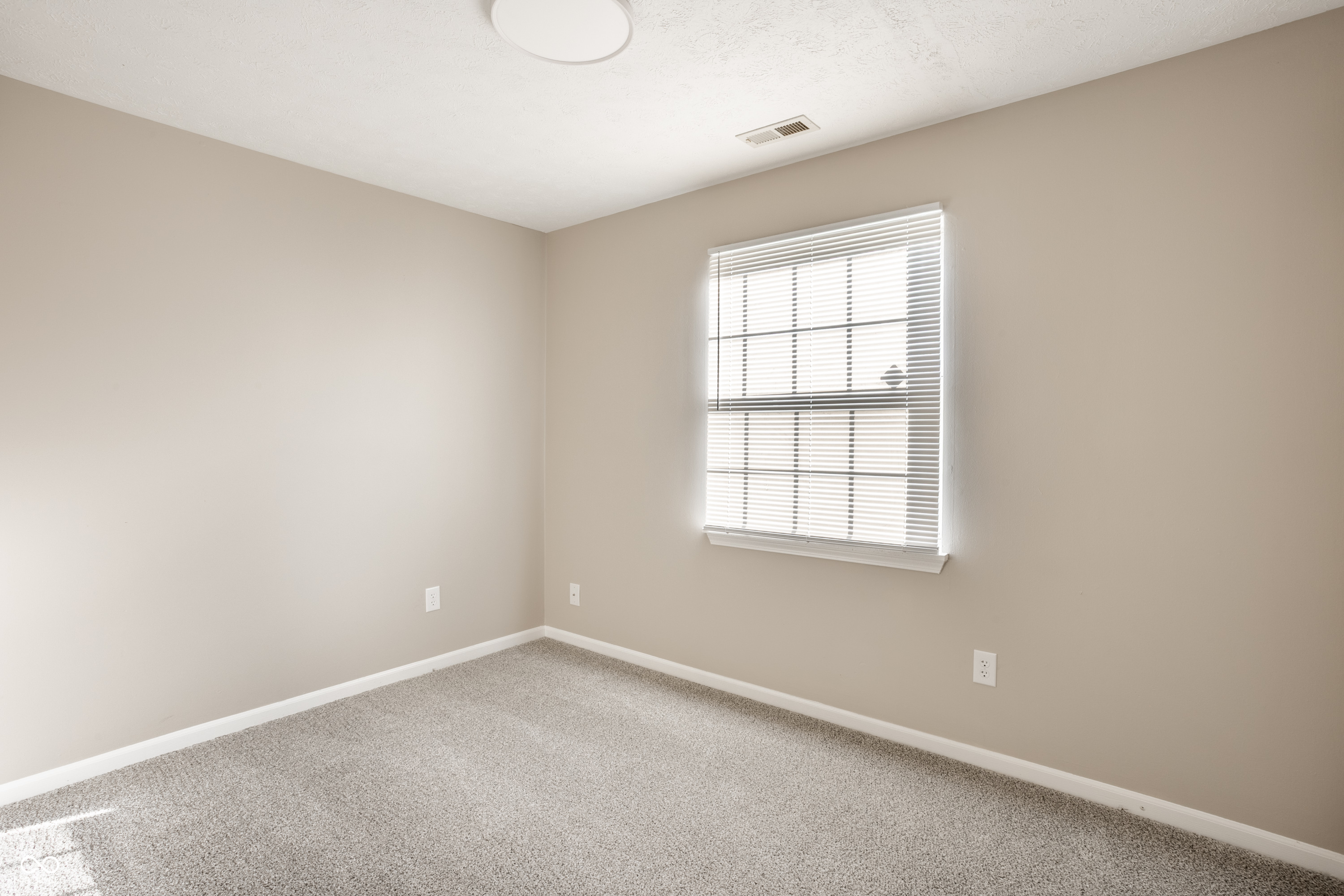 3165 River Birch Drive