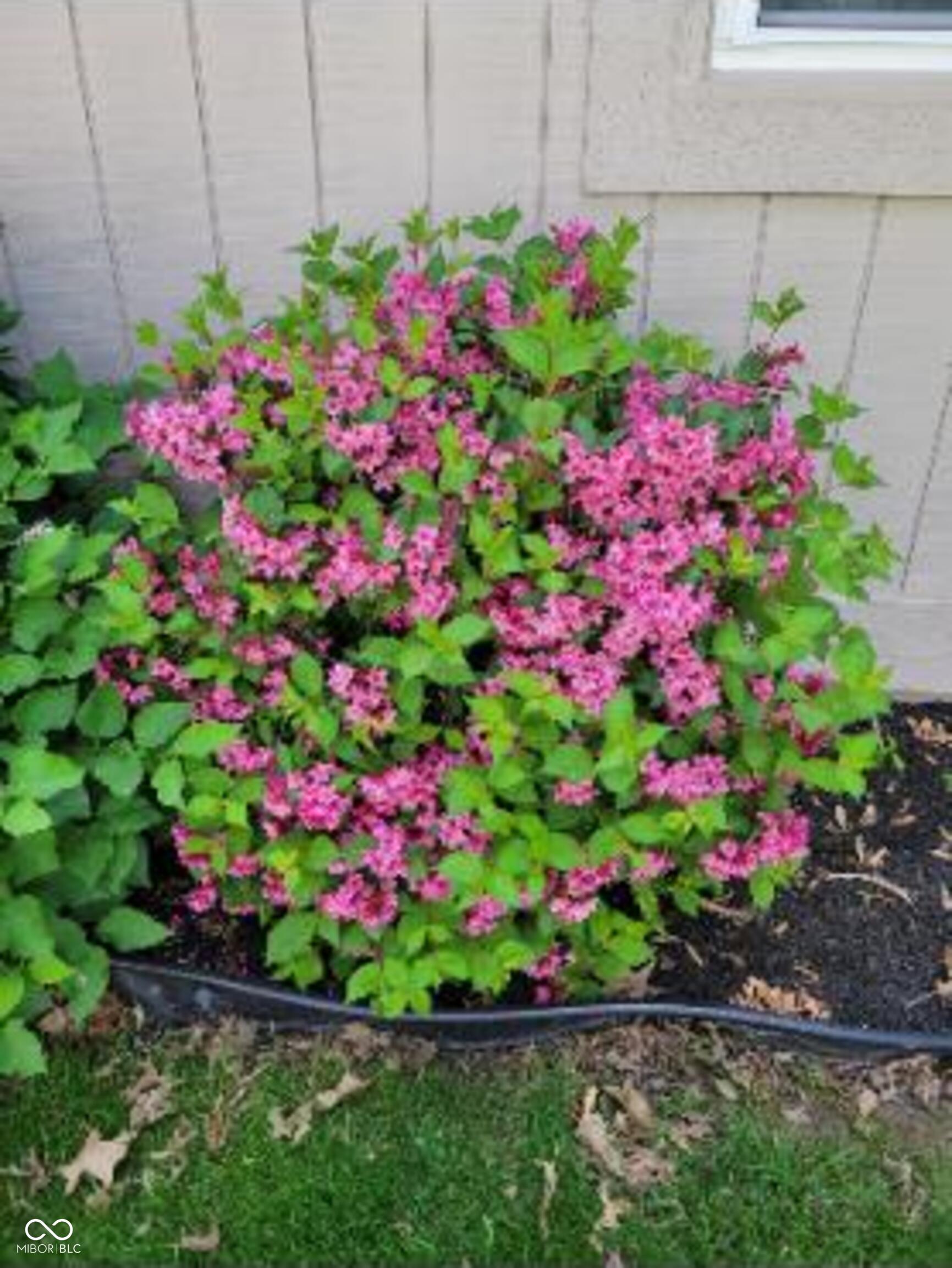 8125 Castle Cove Road