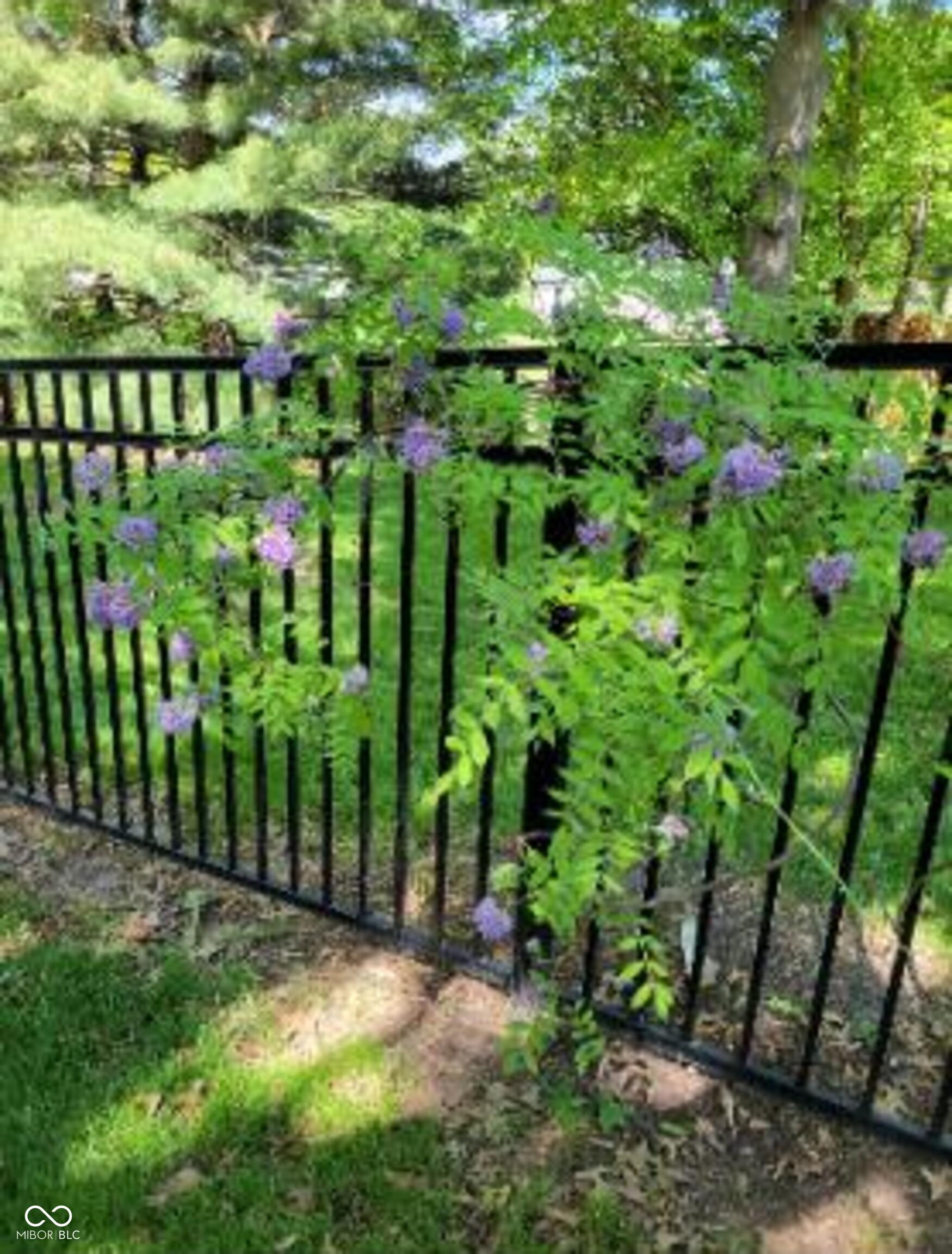 8125 Castle Cove Road