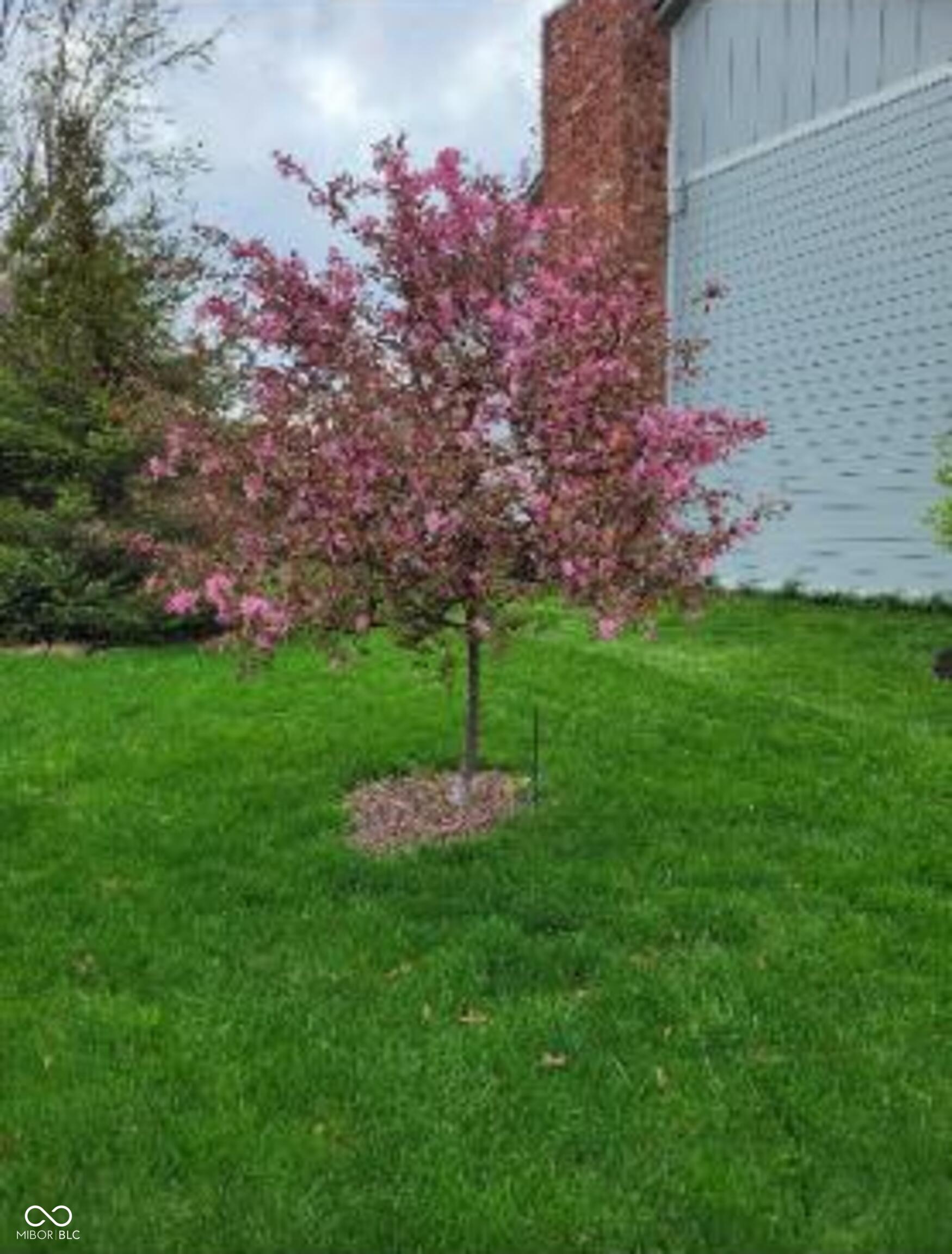 8125 Castle Cove Road