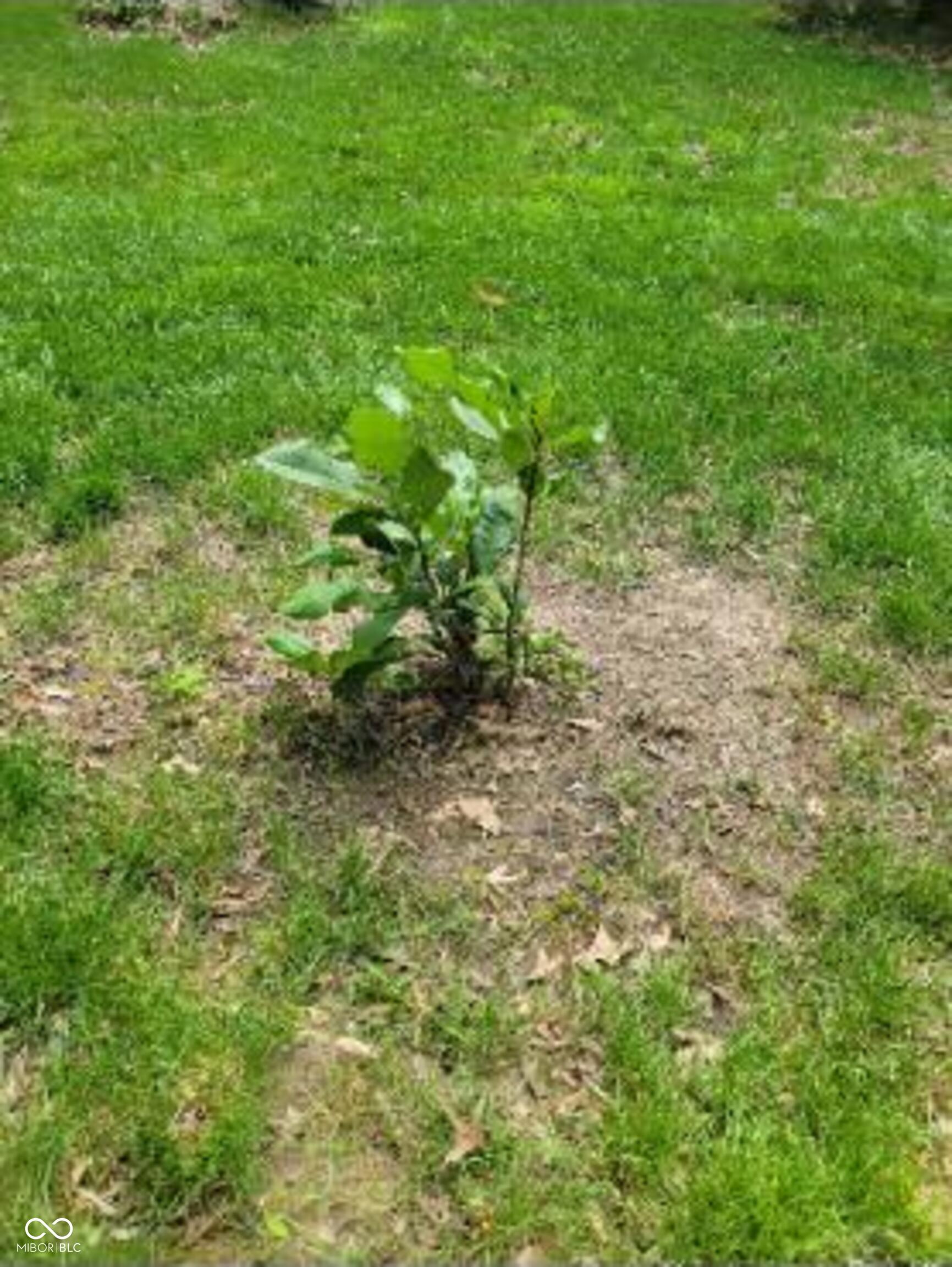 8125 Castle Cove Road