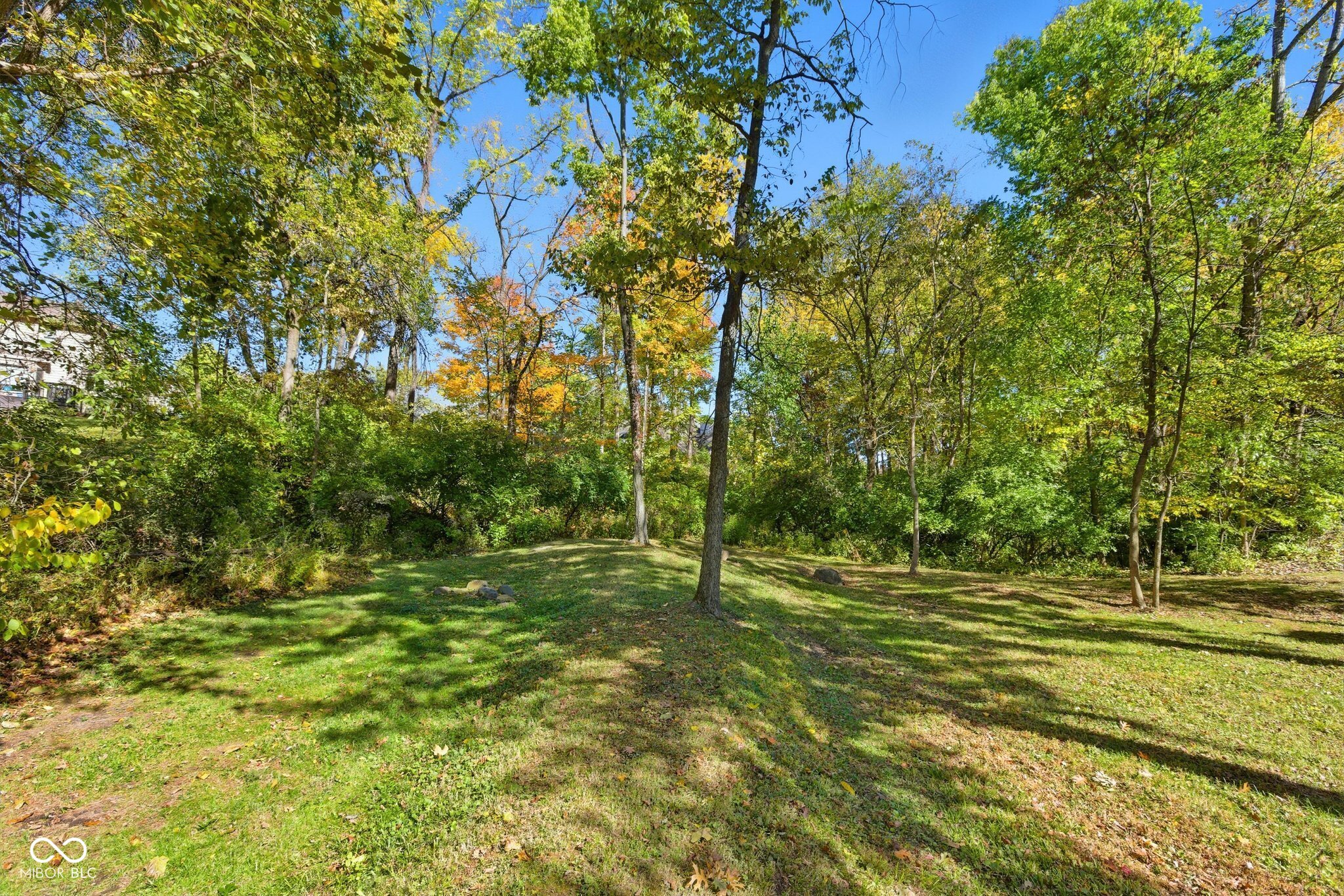 9056 Ridgecreek Drive