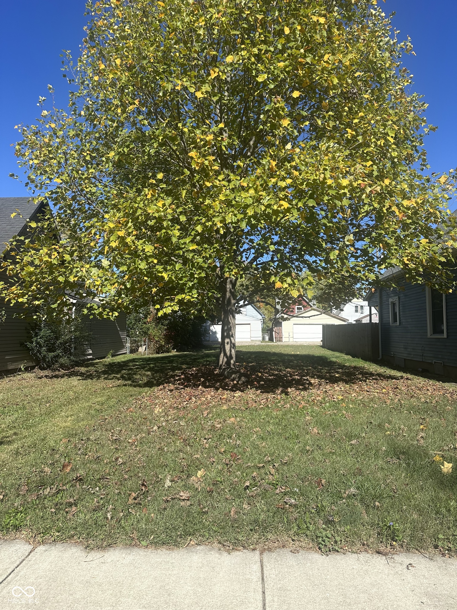 2032 Lexington Avenue