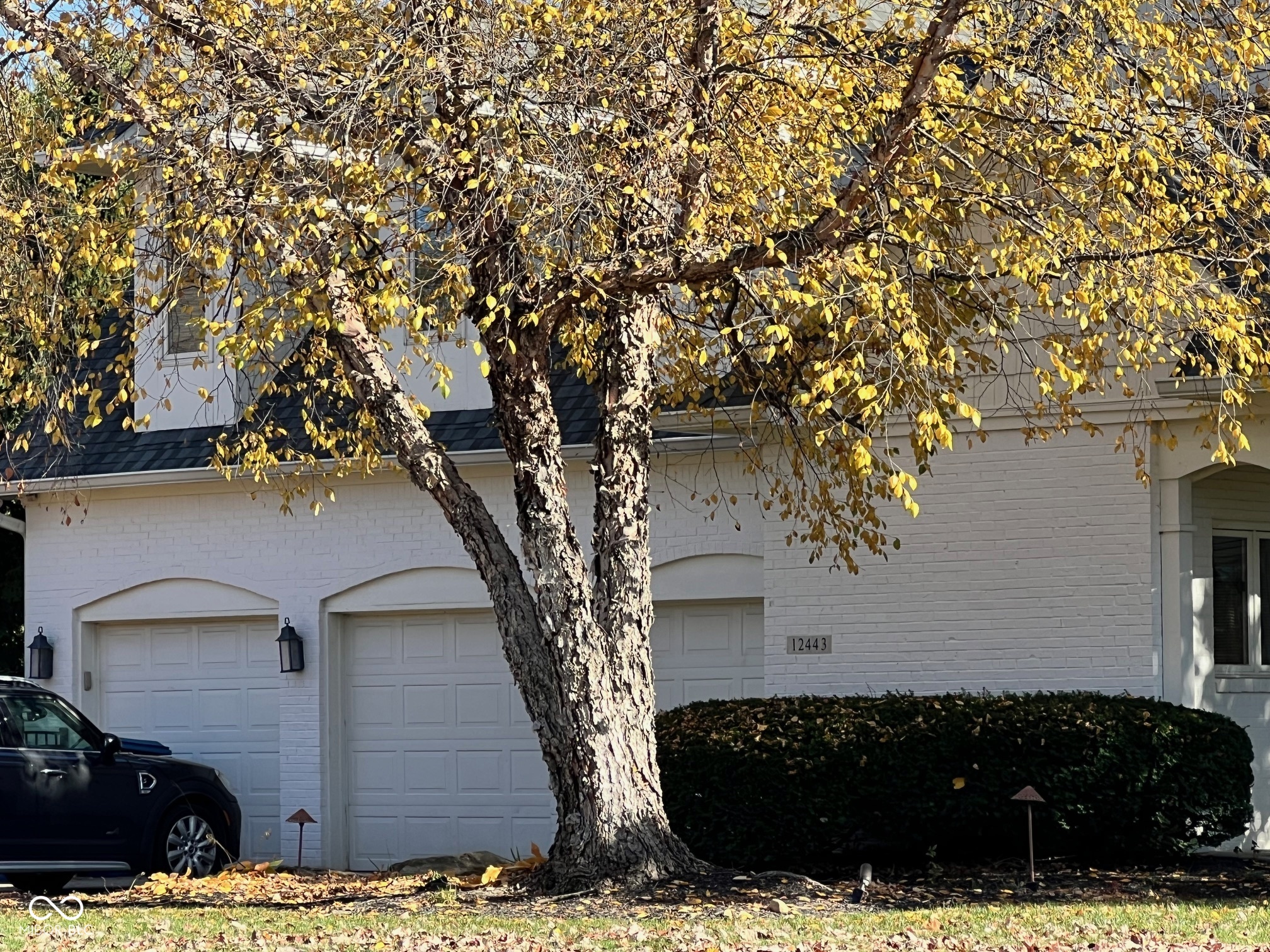 12443 Pebblepointe Pass