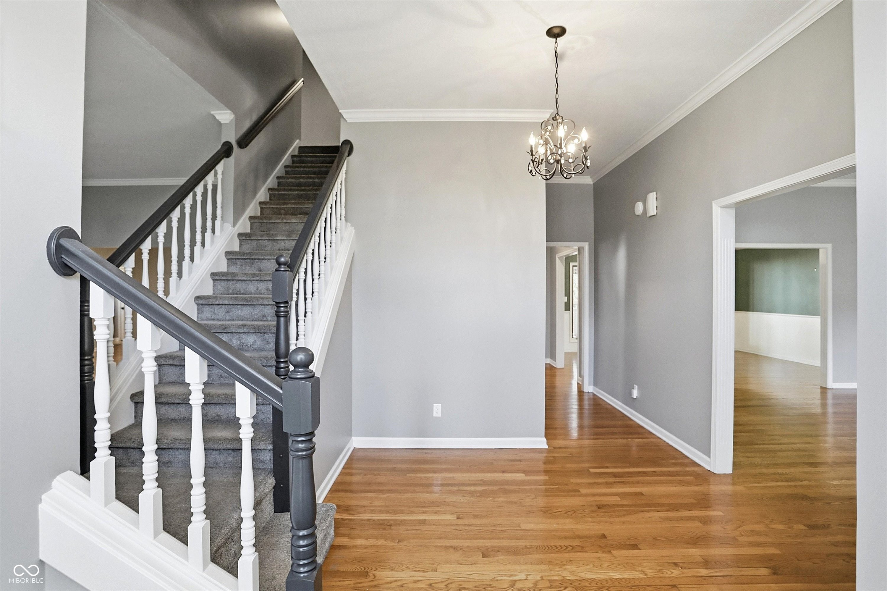 12443 Pebblepointe Pass