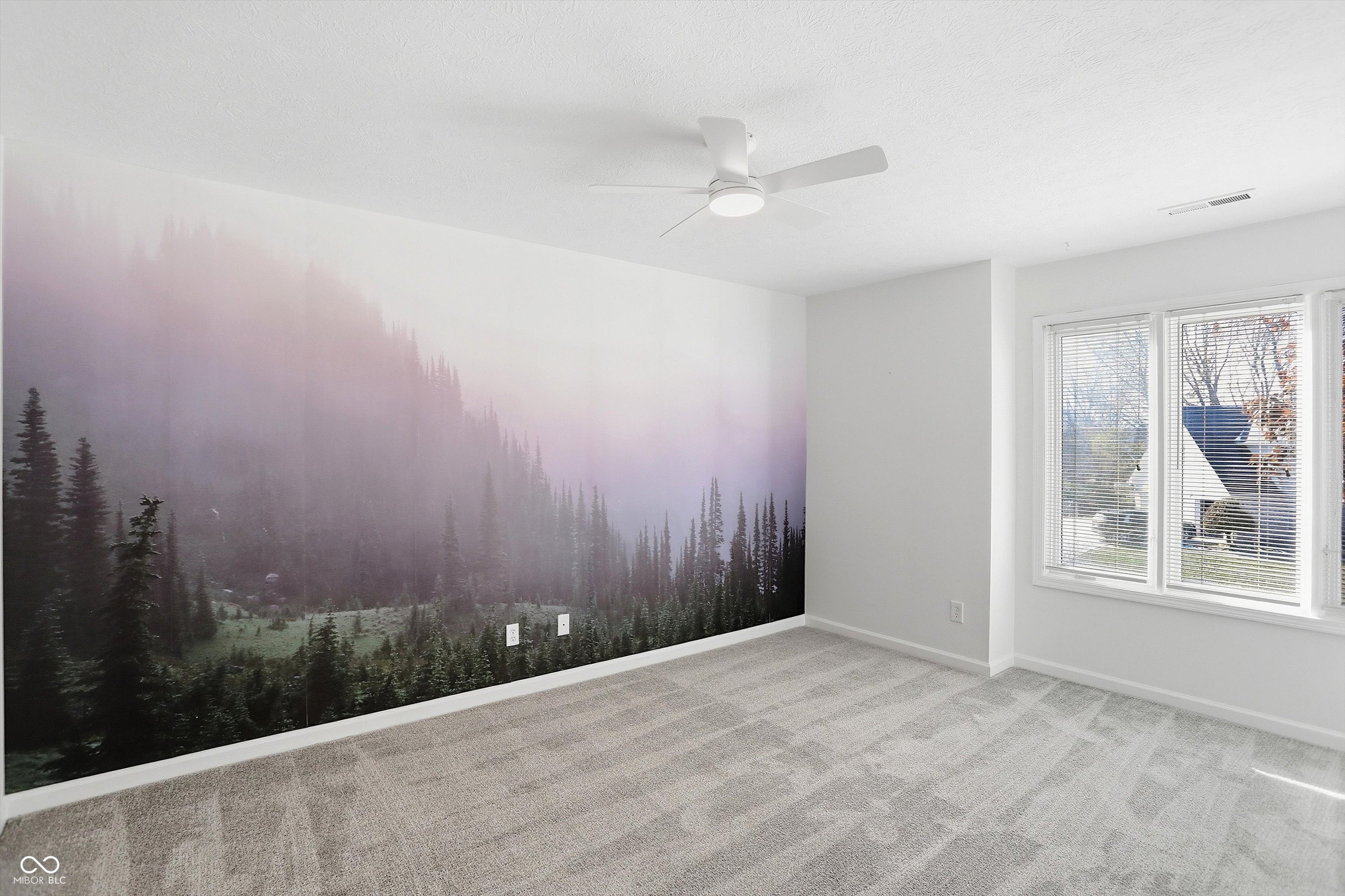 12443 Pebblepointe Pass