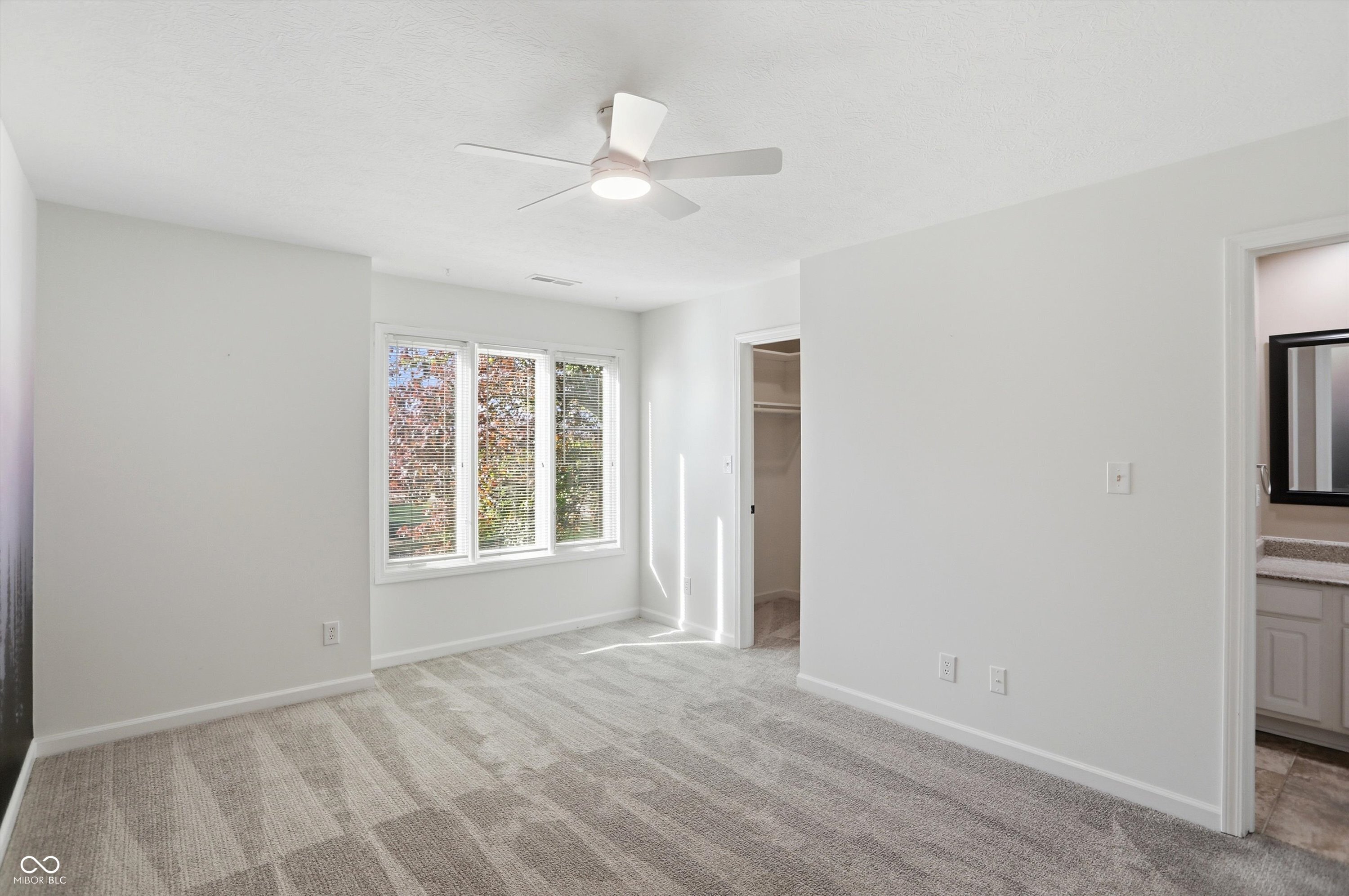 12443 Pebblepointe Pass