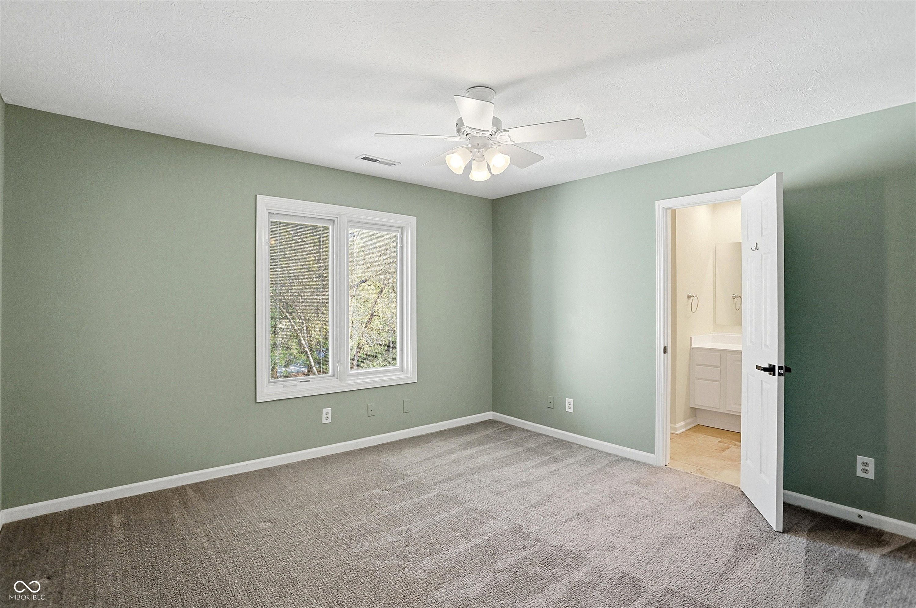 12443 Pebblepointe Pass