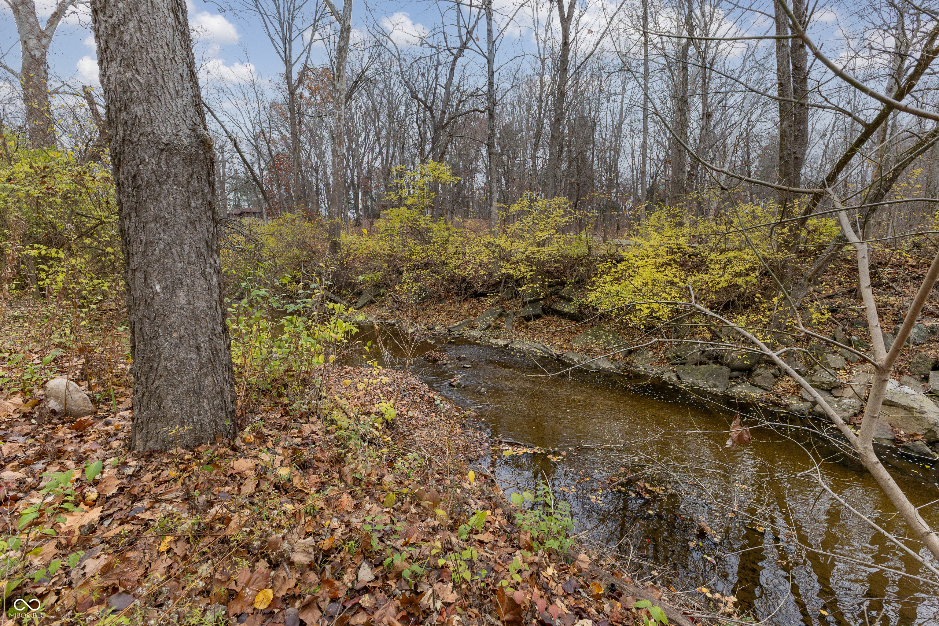 4225 Springwood Trail