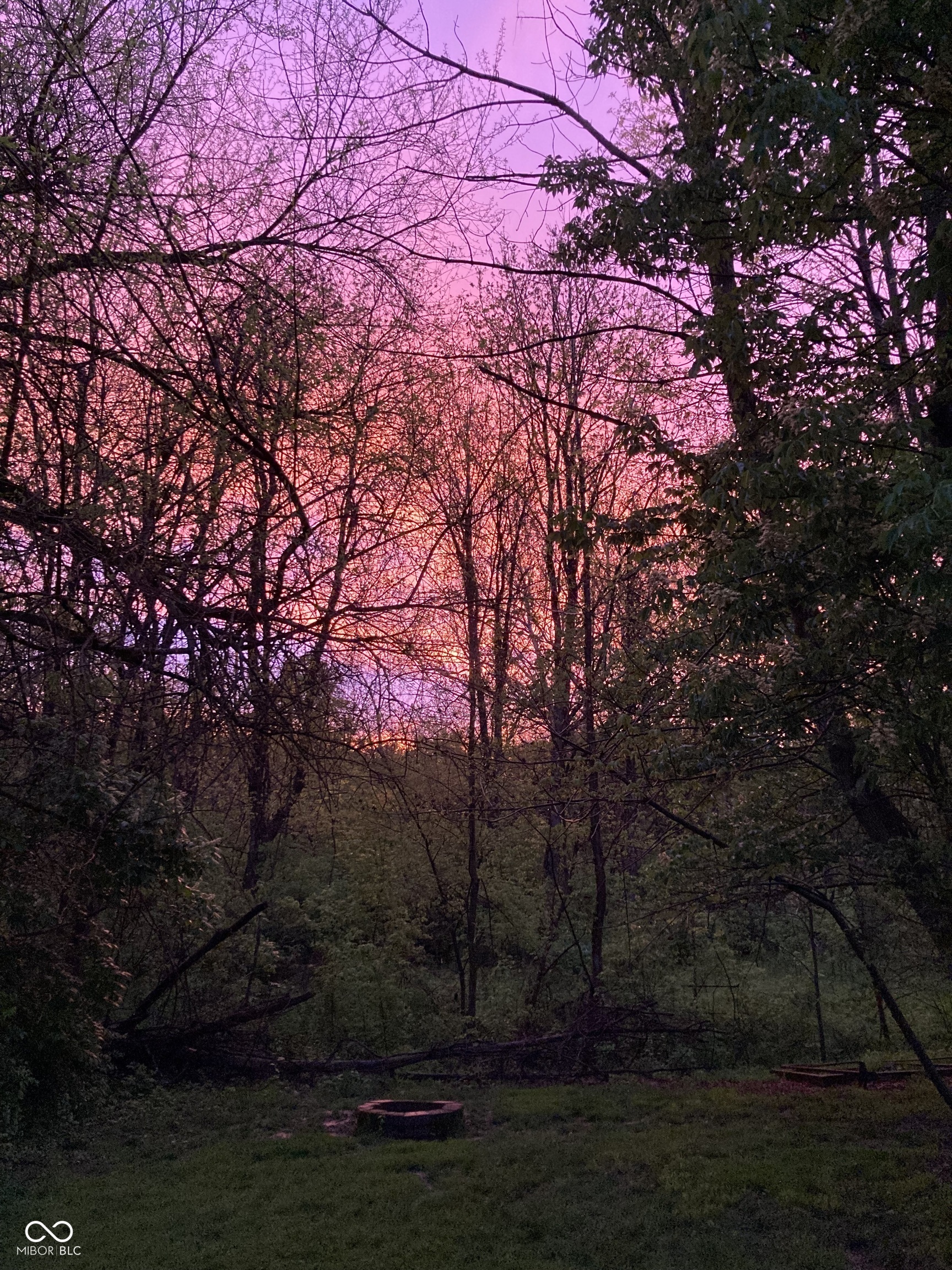 17987 Kinder Oak Drive