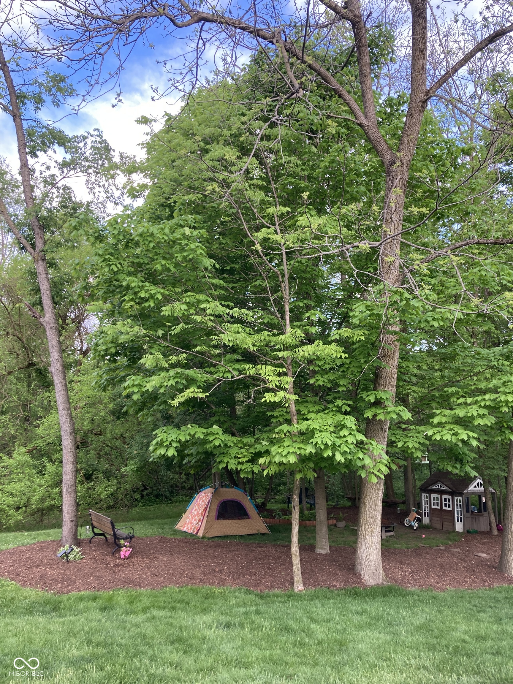 17987 Kinder Oak Drive