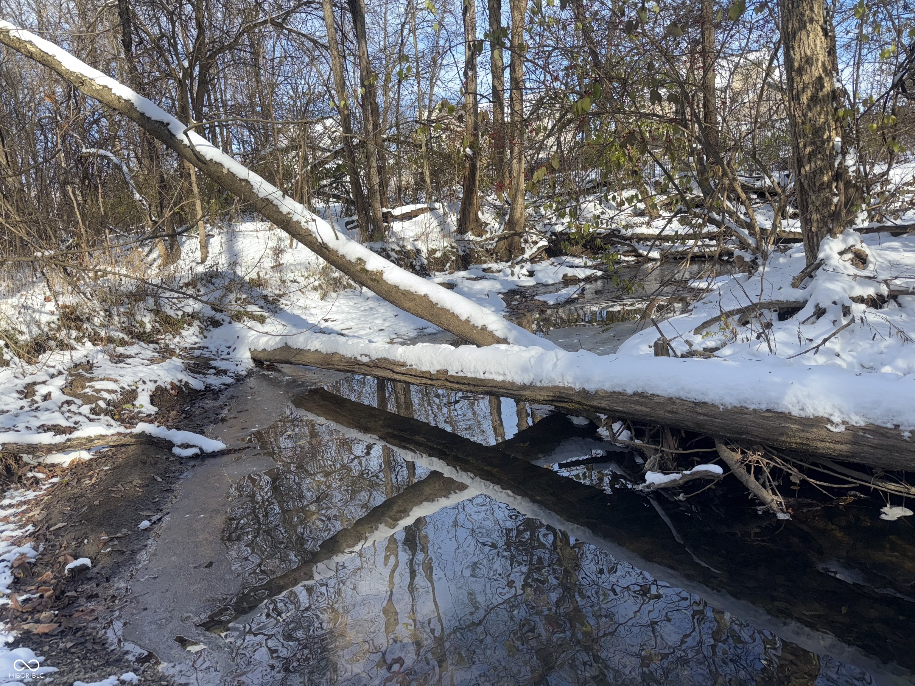 17987 Kinder Oak Drive