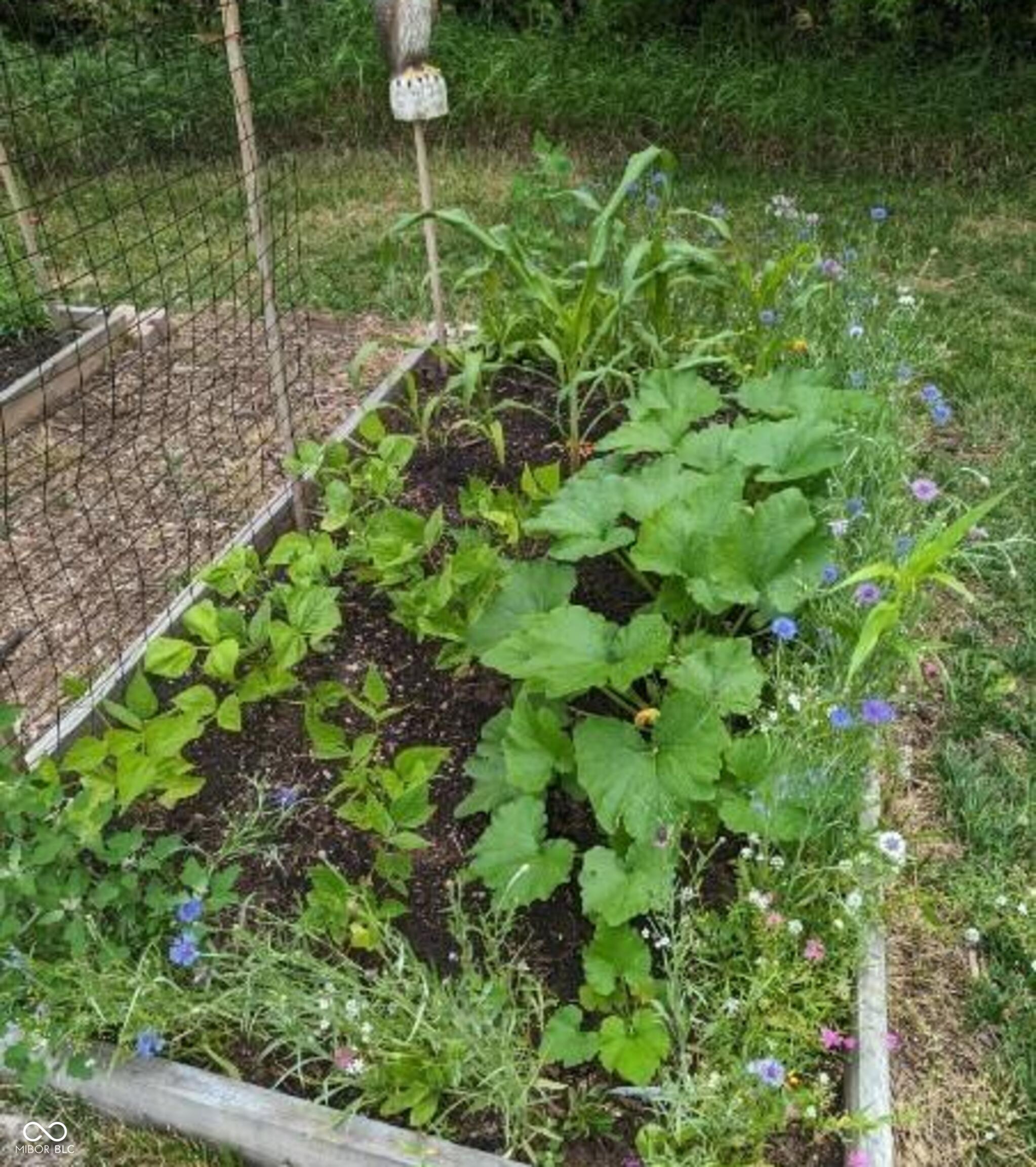 26791 Crooked Creek Avenue