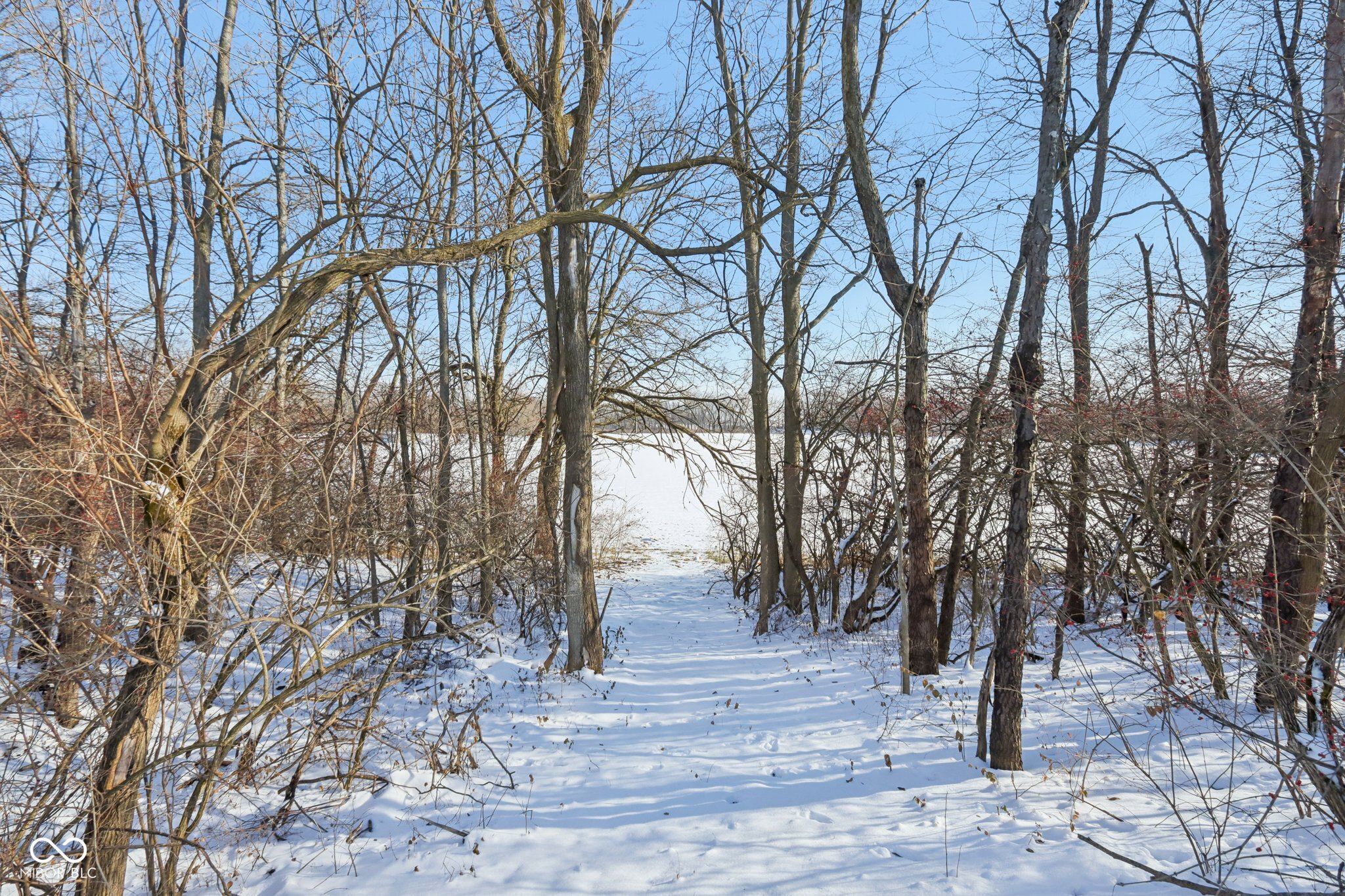 26791 Crooked Creek Avenue