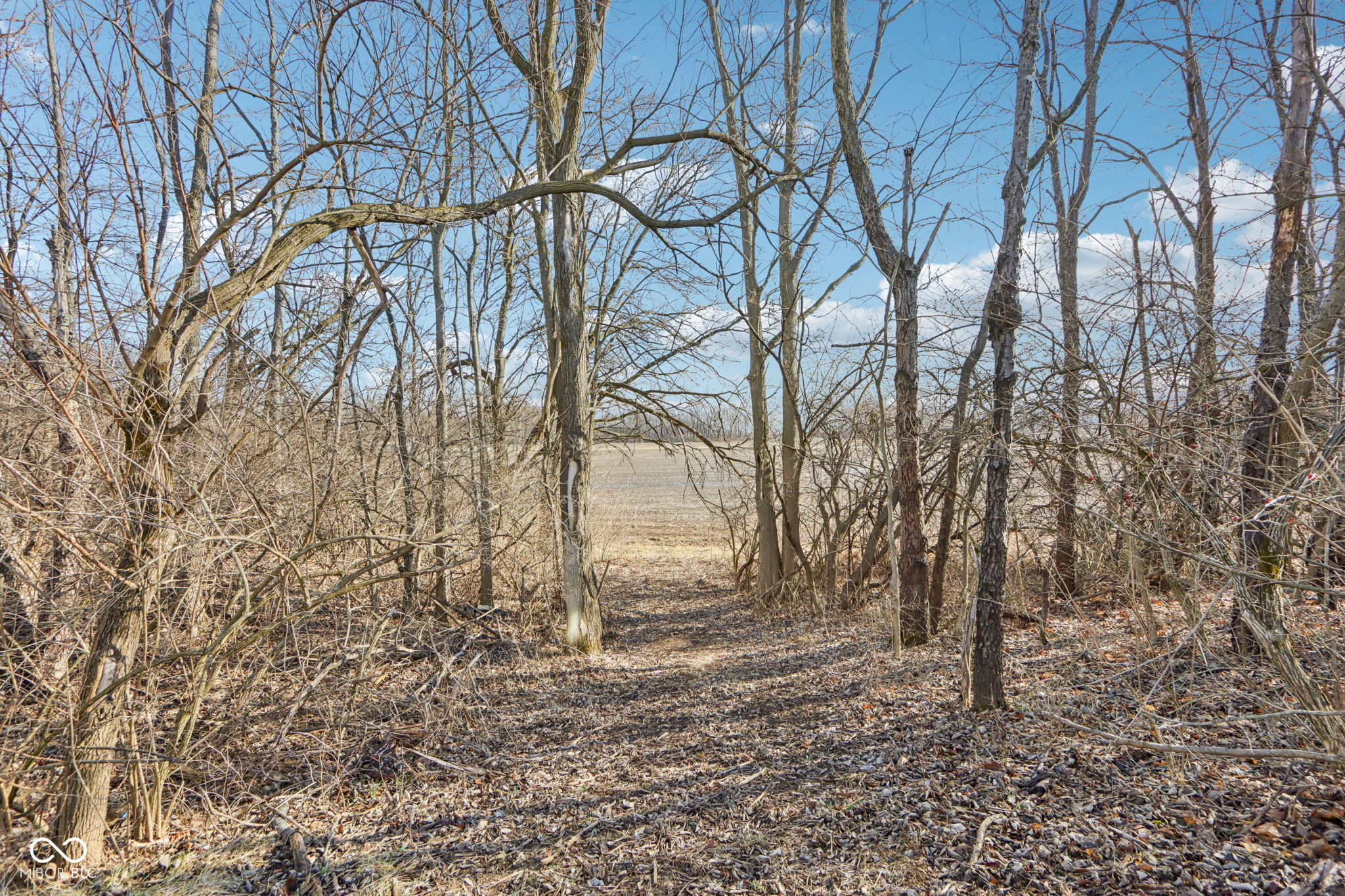 26791 Crooked Creek Avenue