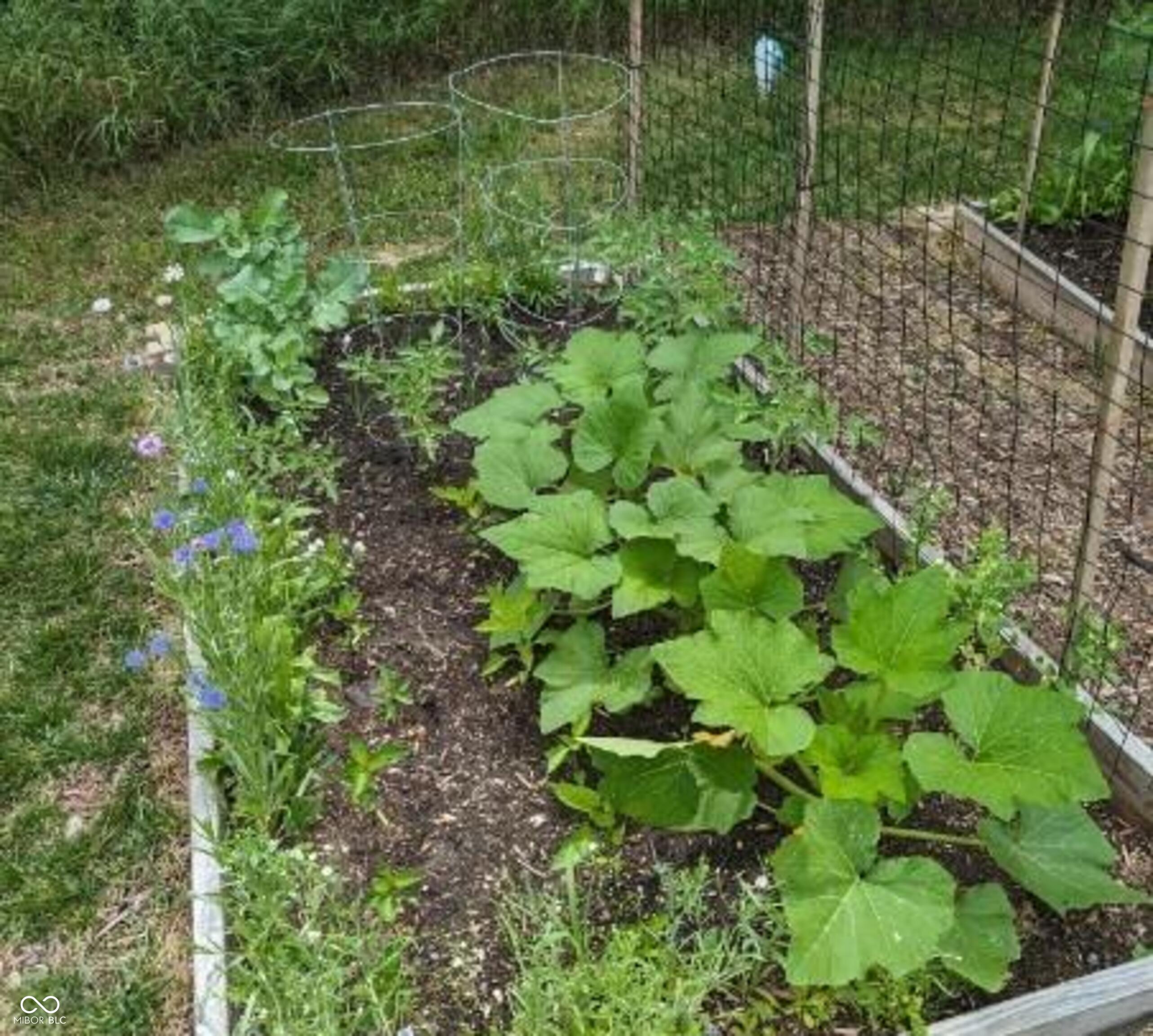 26791 Crooked Creek Avenue