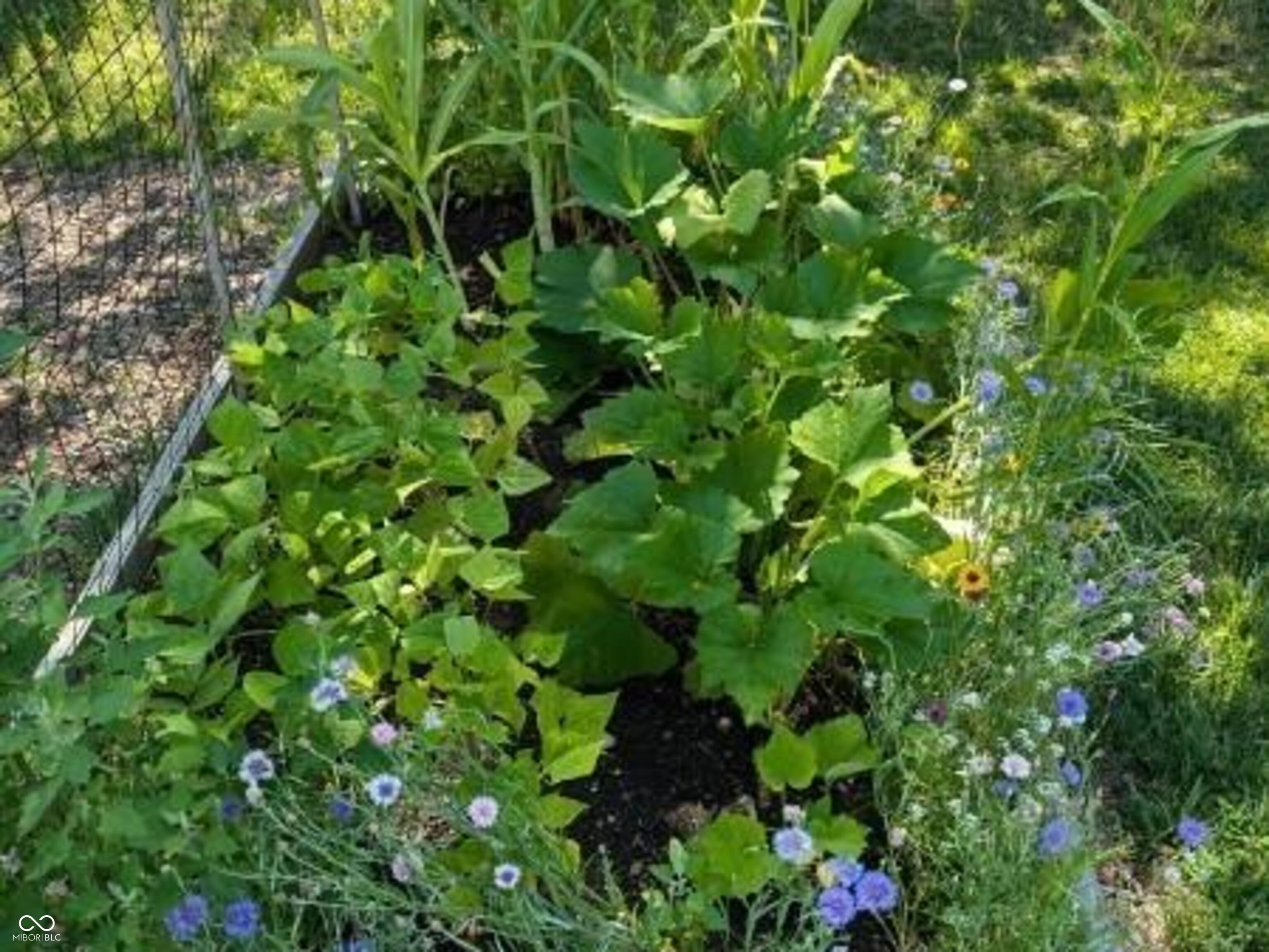 26791 Crooked Creek Avenue