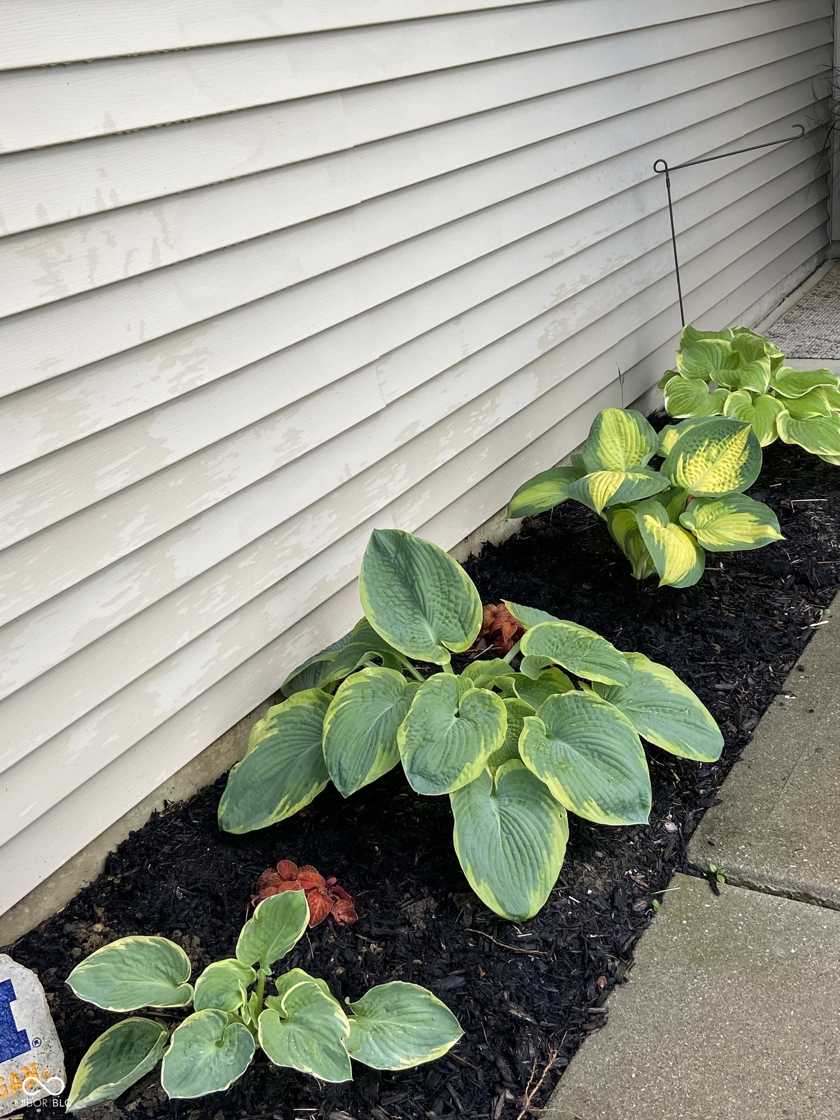 8457 Templederry Drive