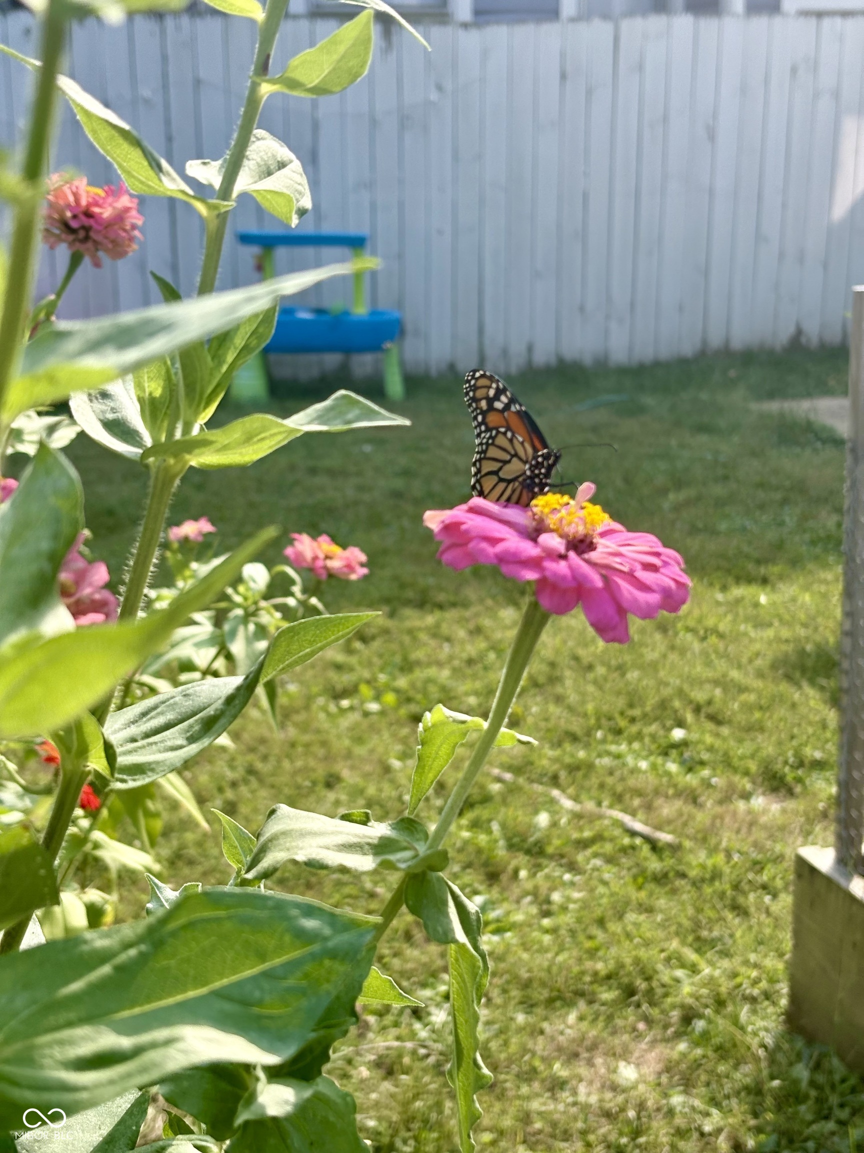 4225 Guilford Avenue