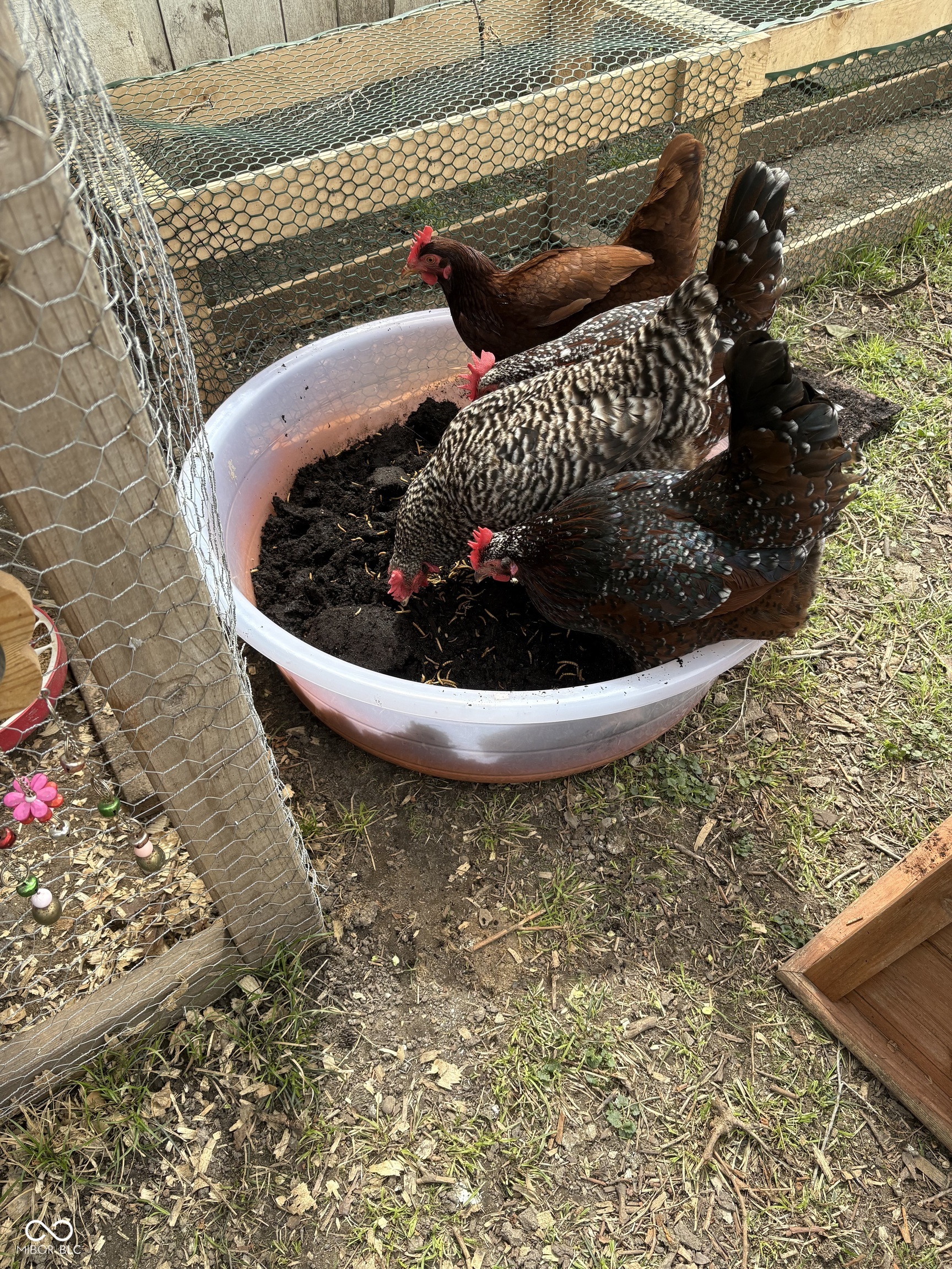 4225 Guilford Avenue