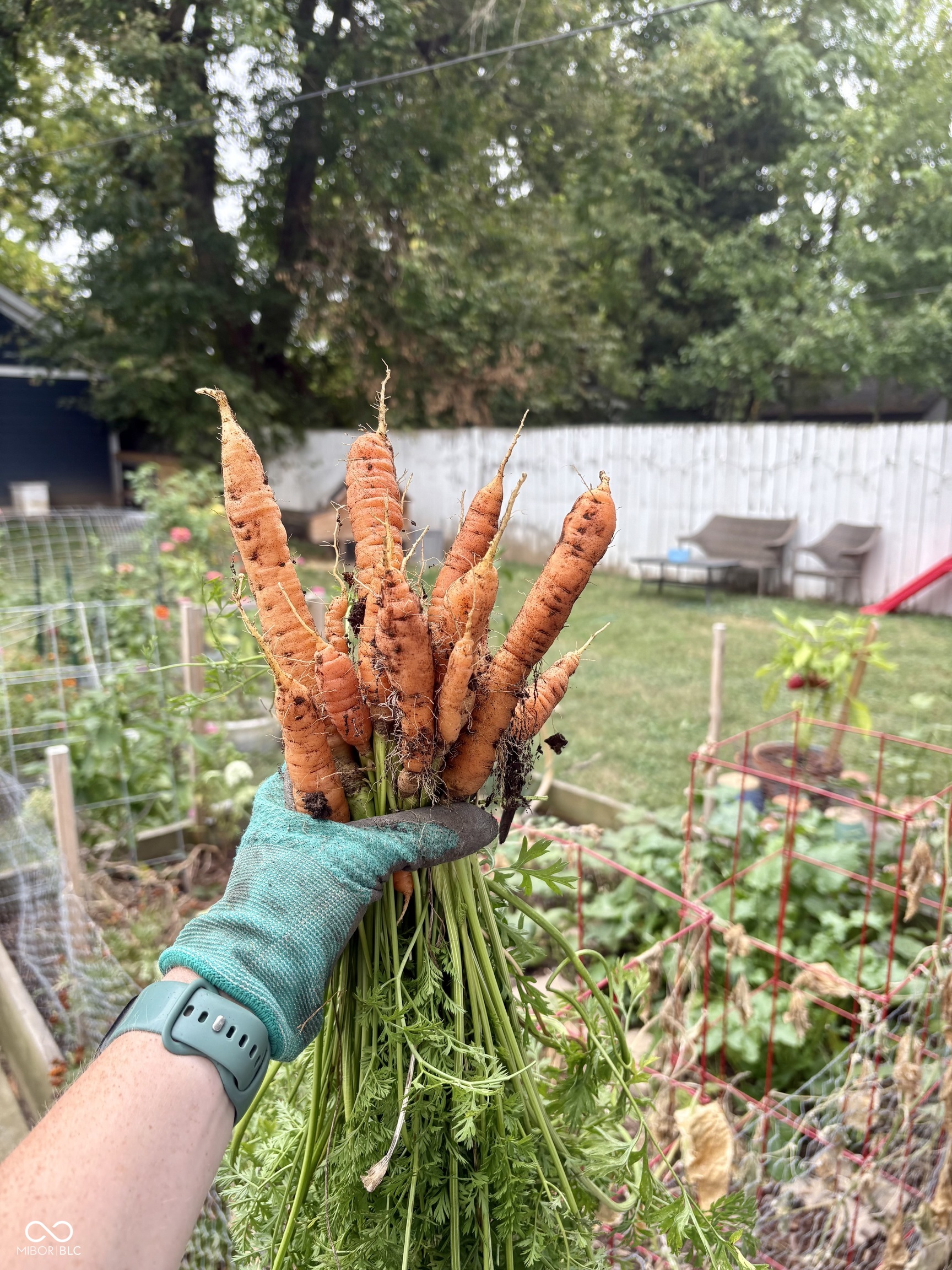 4225 Guilford Avenue