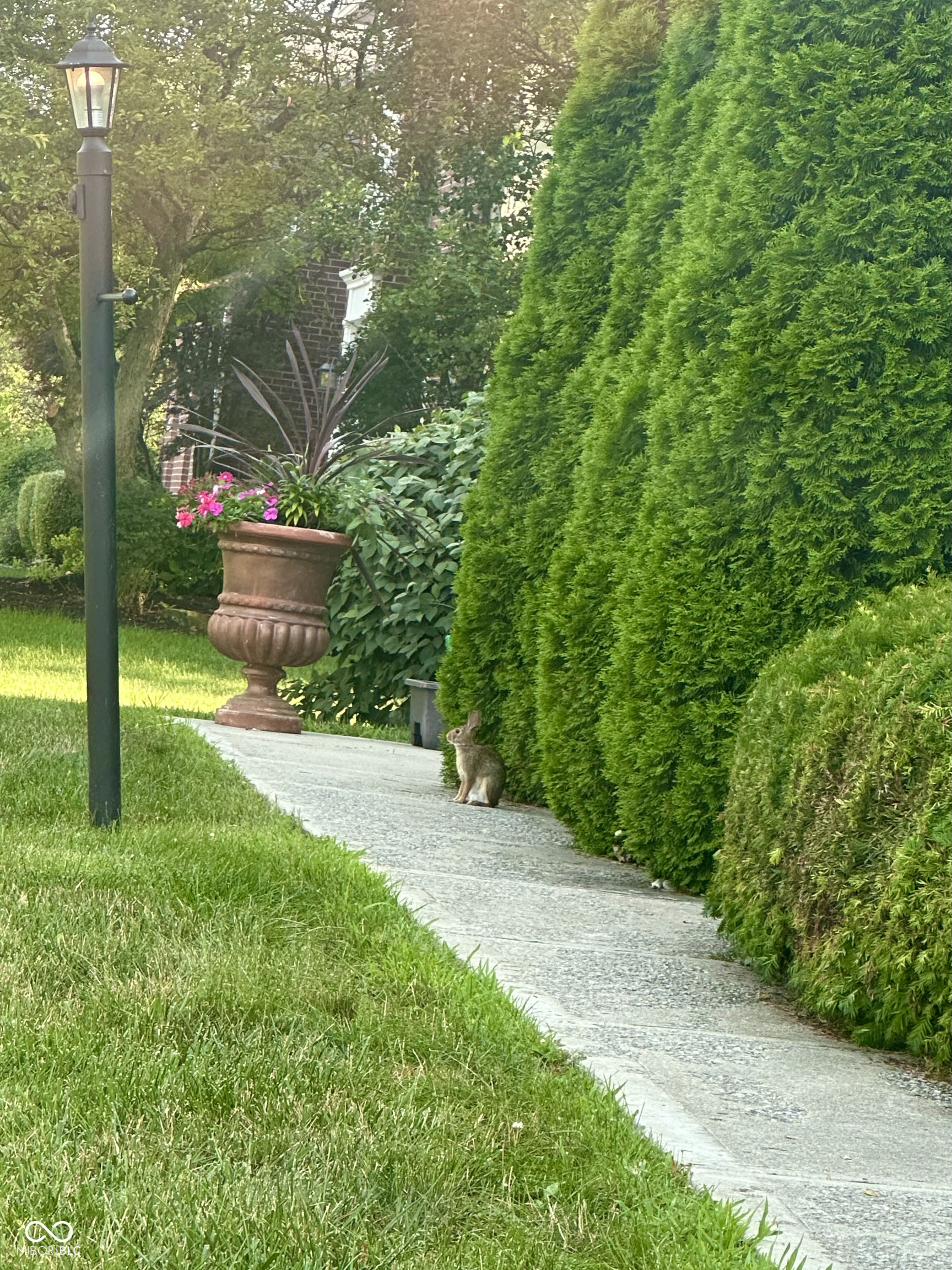 11458 Sutton Place Drive W