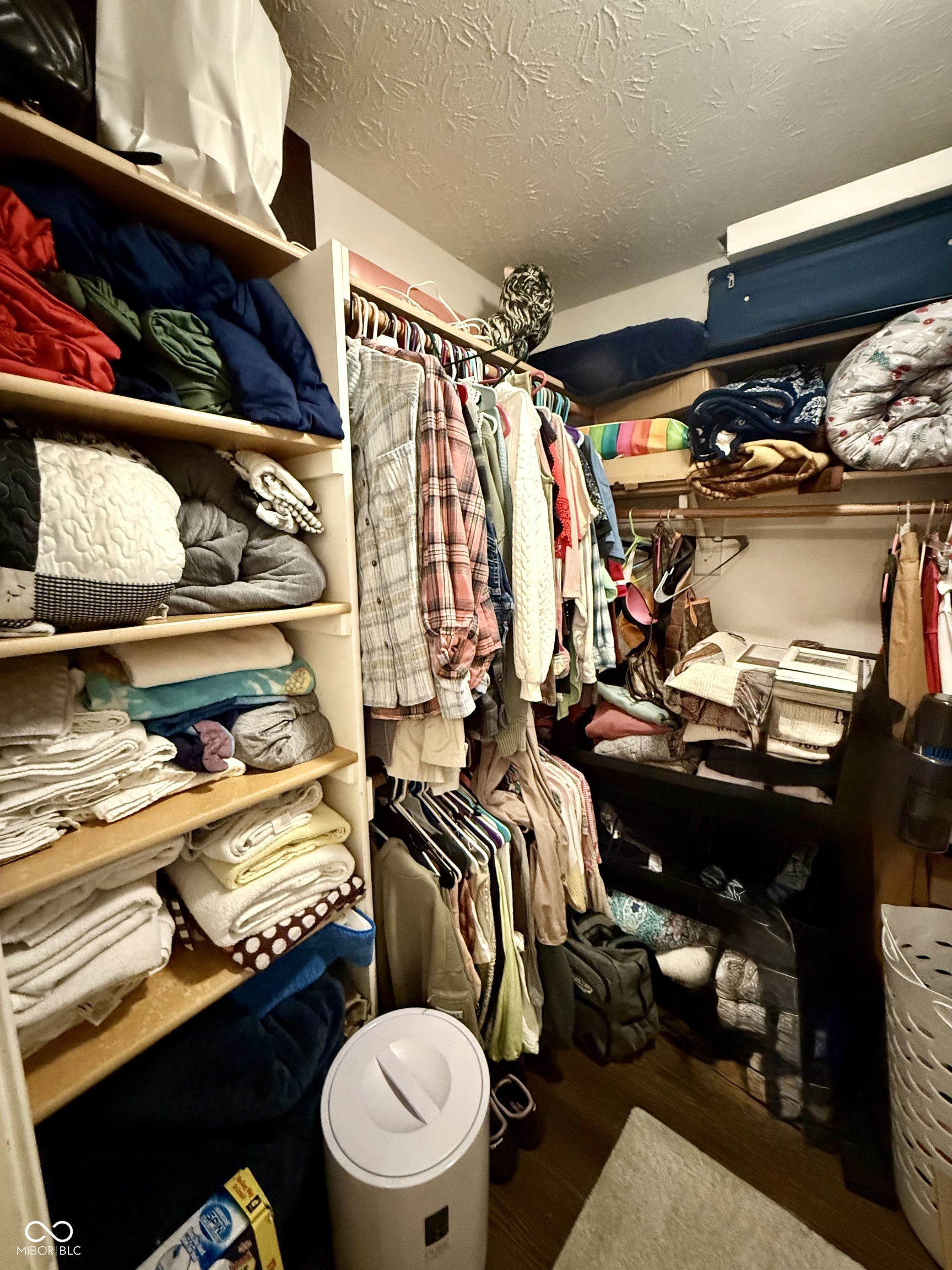 1213 Meadowood Drive