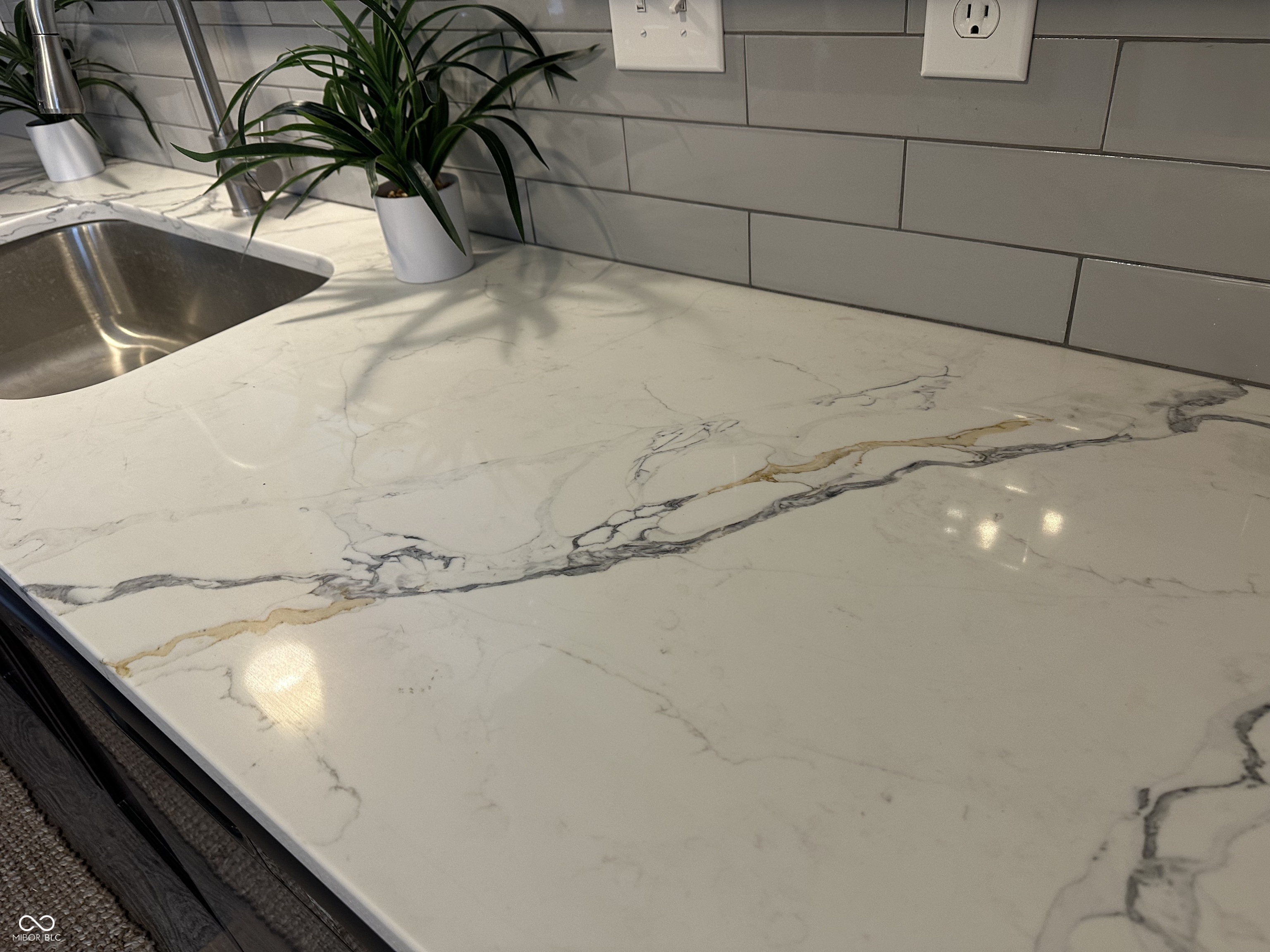 11198 Funny Cide Drive