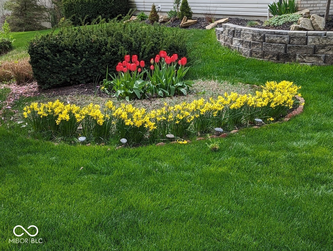 11191 Timberview Drive