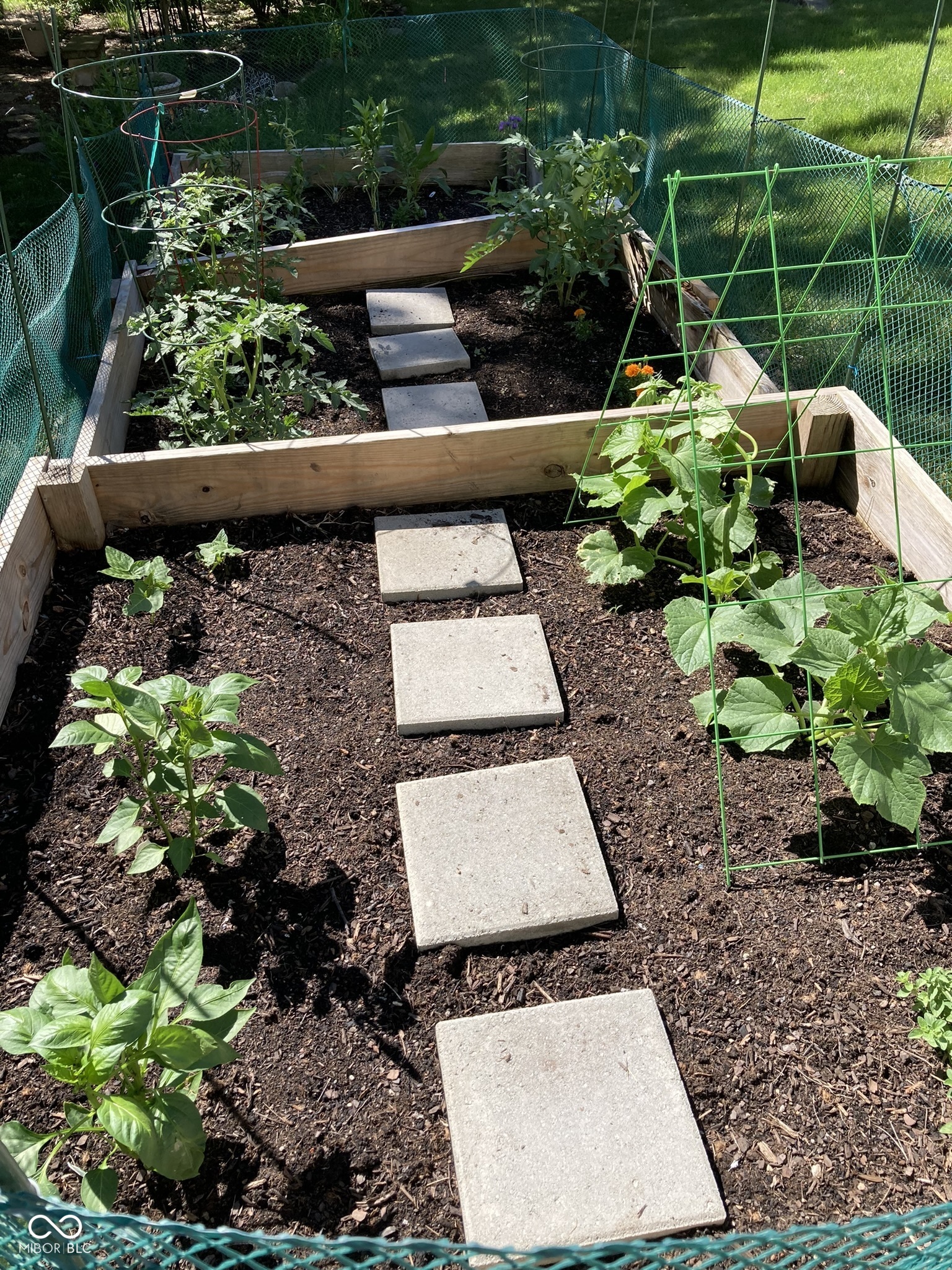 11191 Timberview Drive