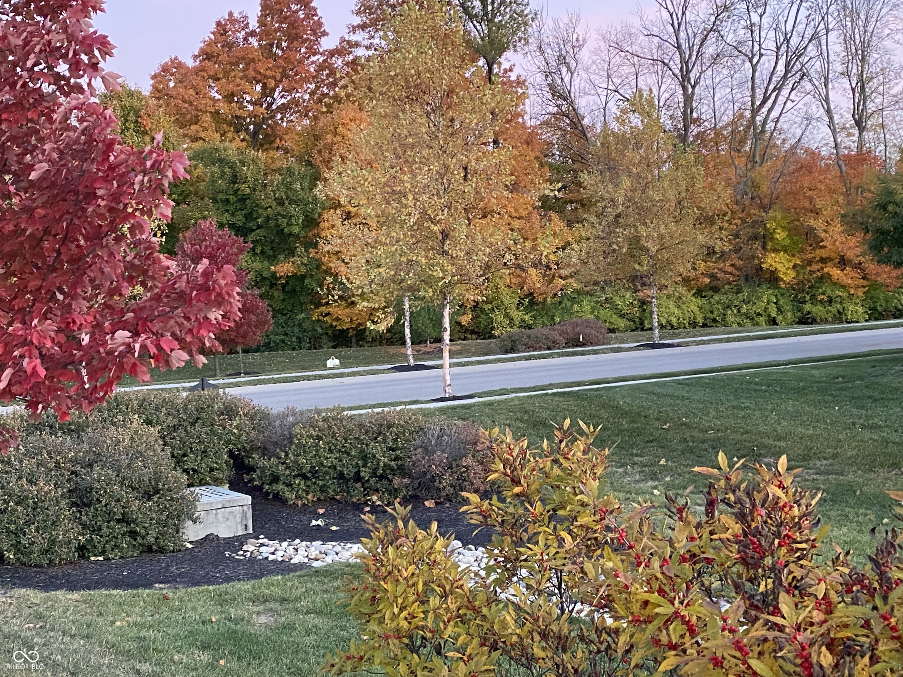 1127 Frenzel Parkway