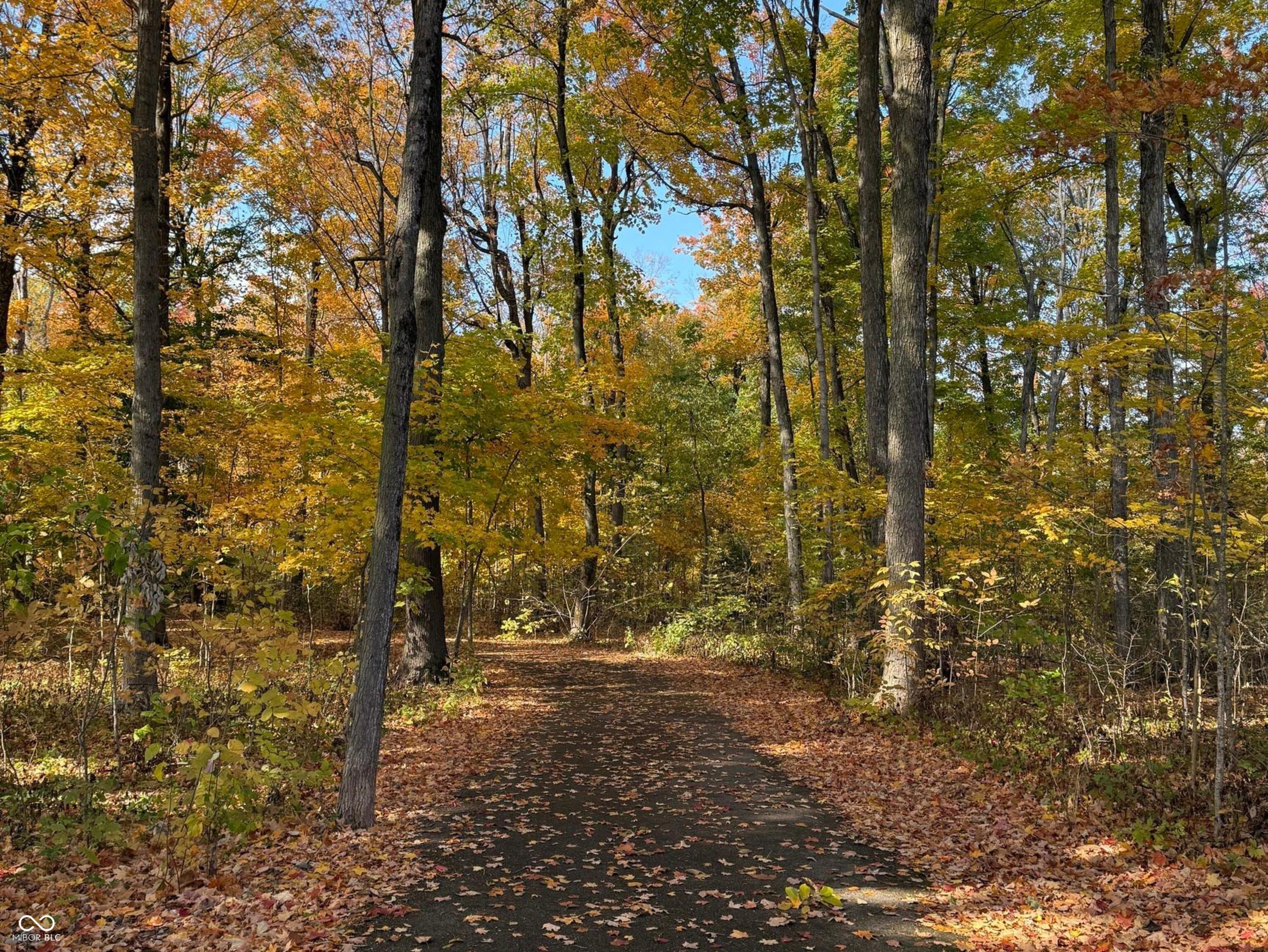 1127 Frenzel Parkway