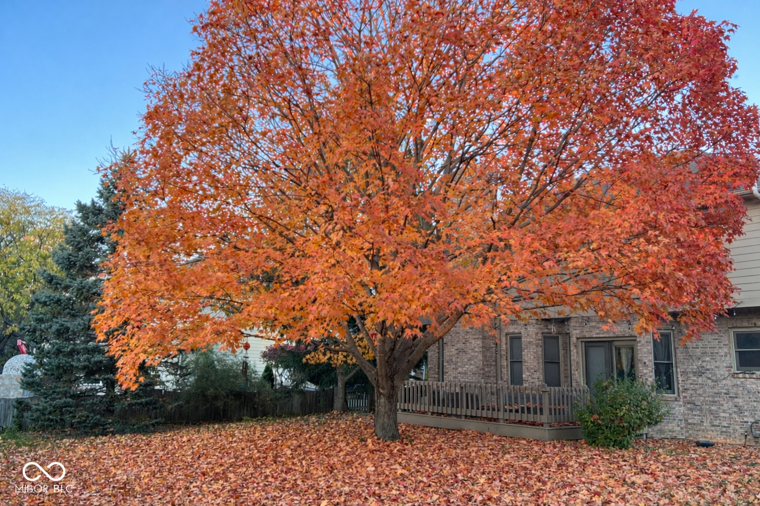 10236 Bent Tree Lane