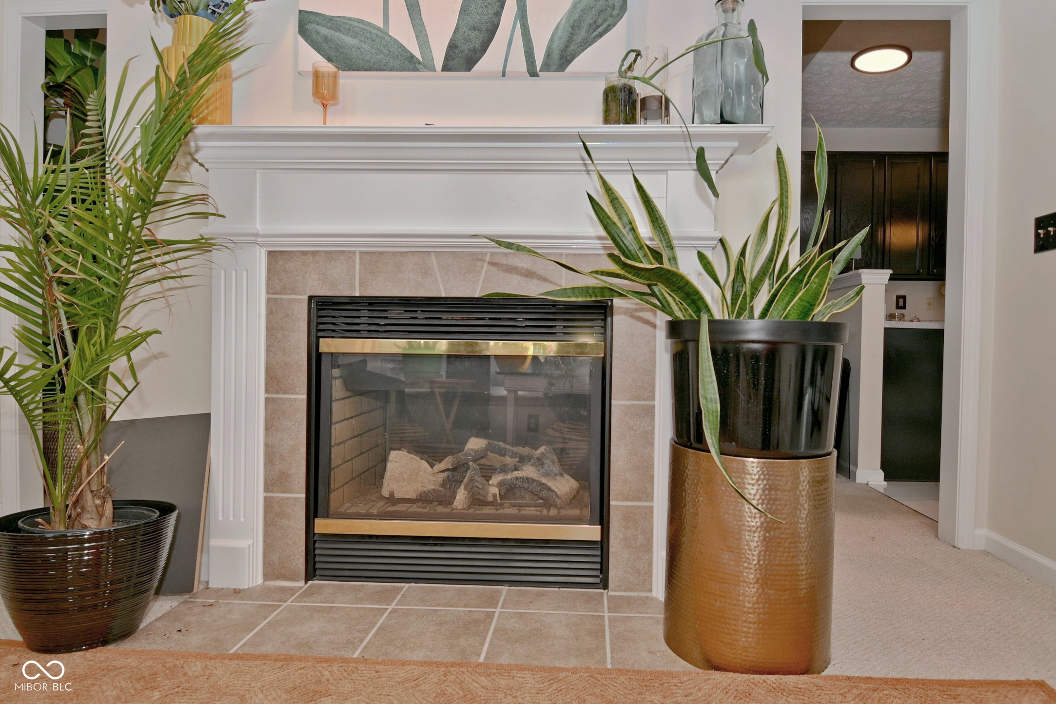 2520 Thorney Wood Lane