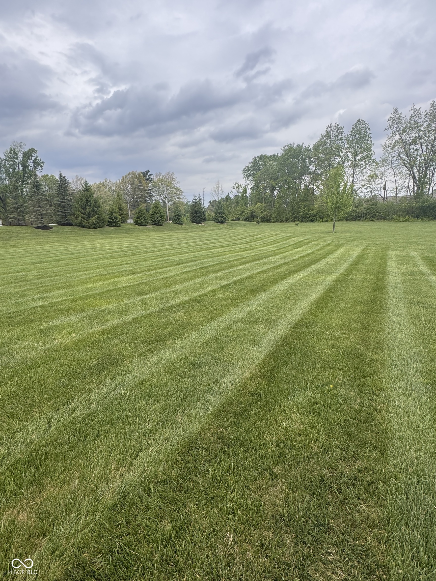 9208 Branch View Drive