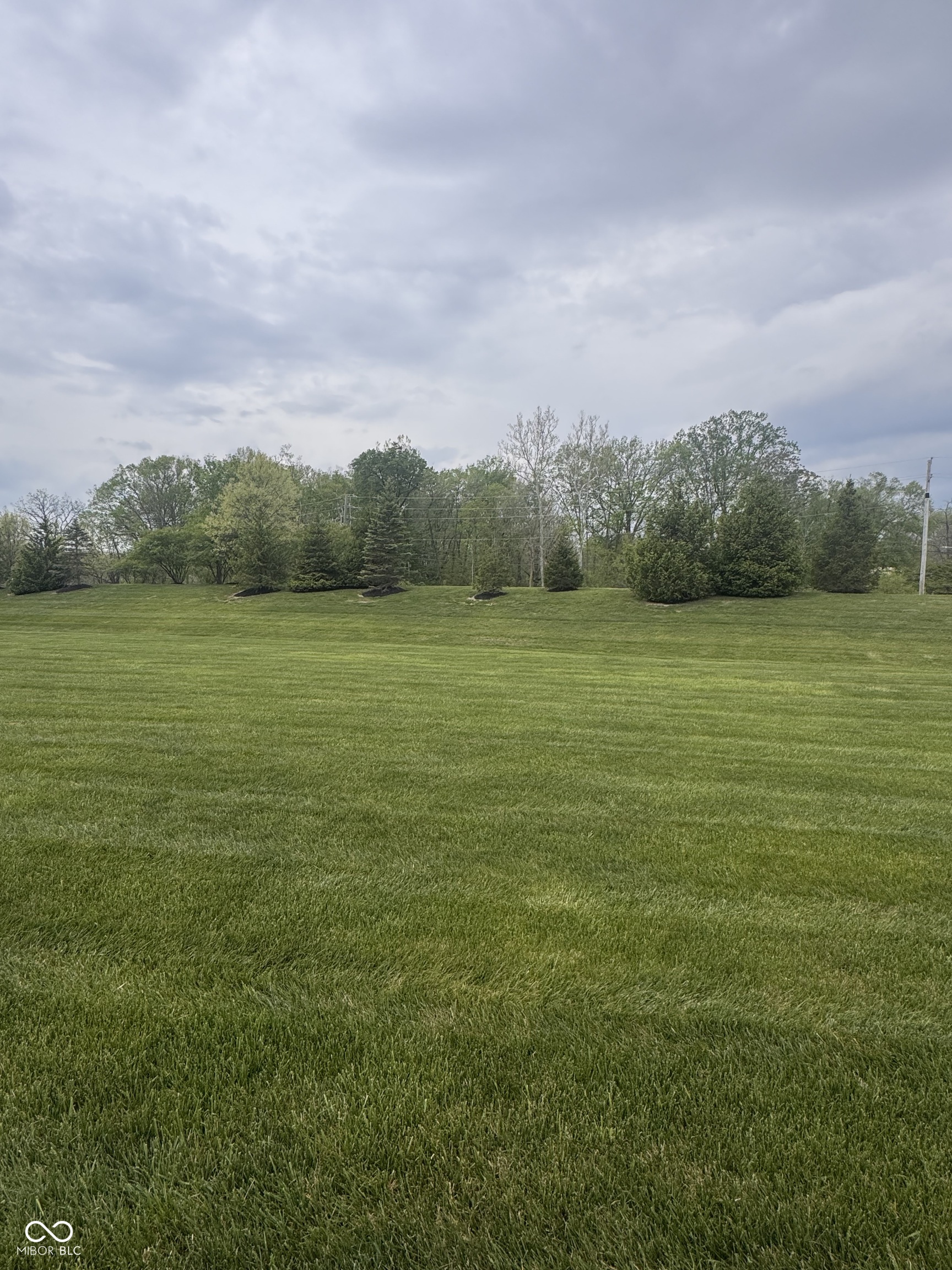 9208 Branch View Drive