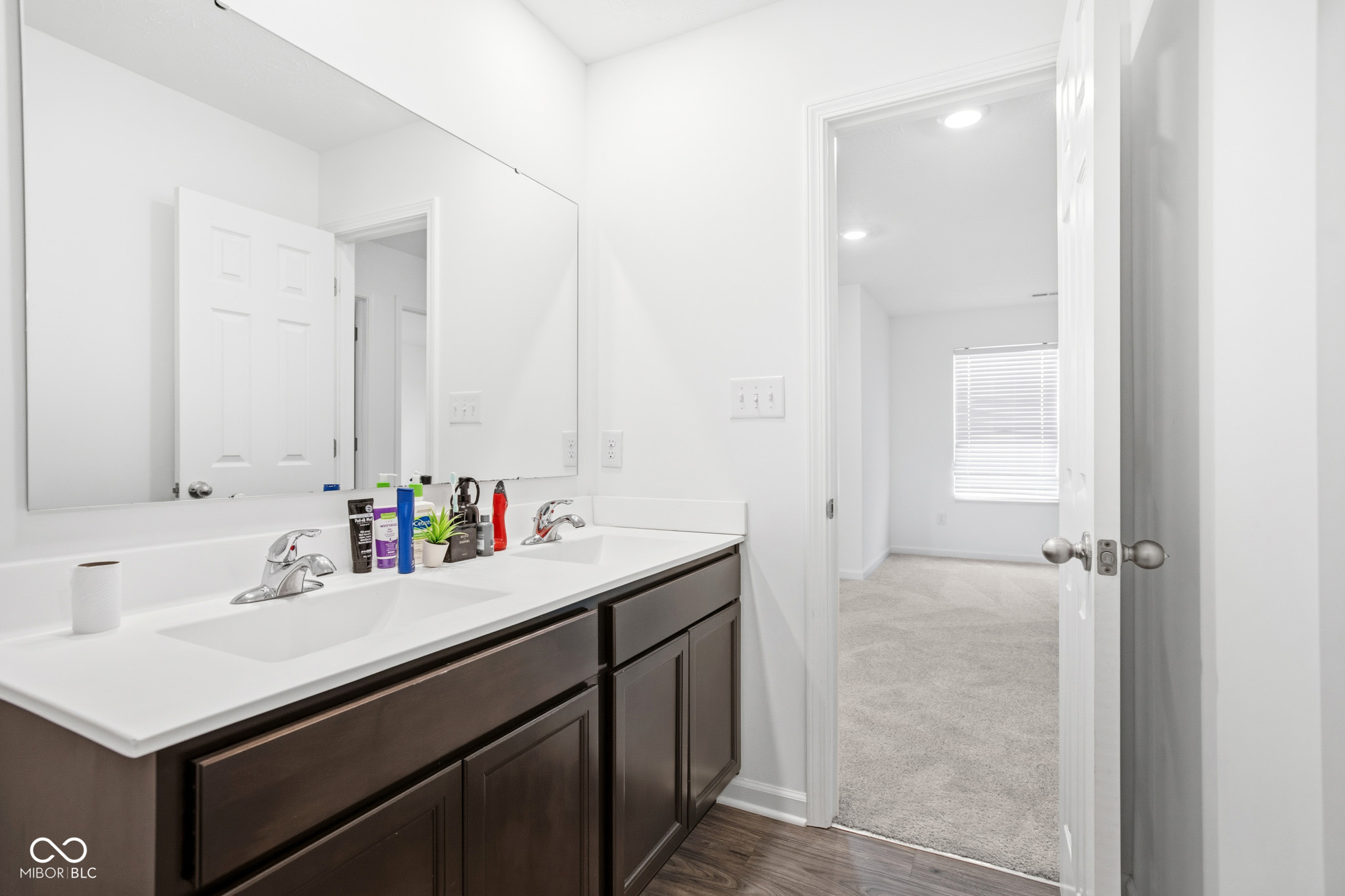 10317 Caprock Canyon Drive