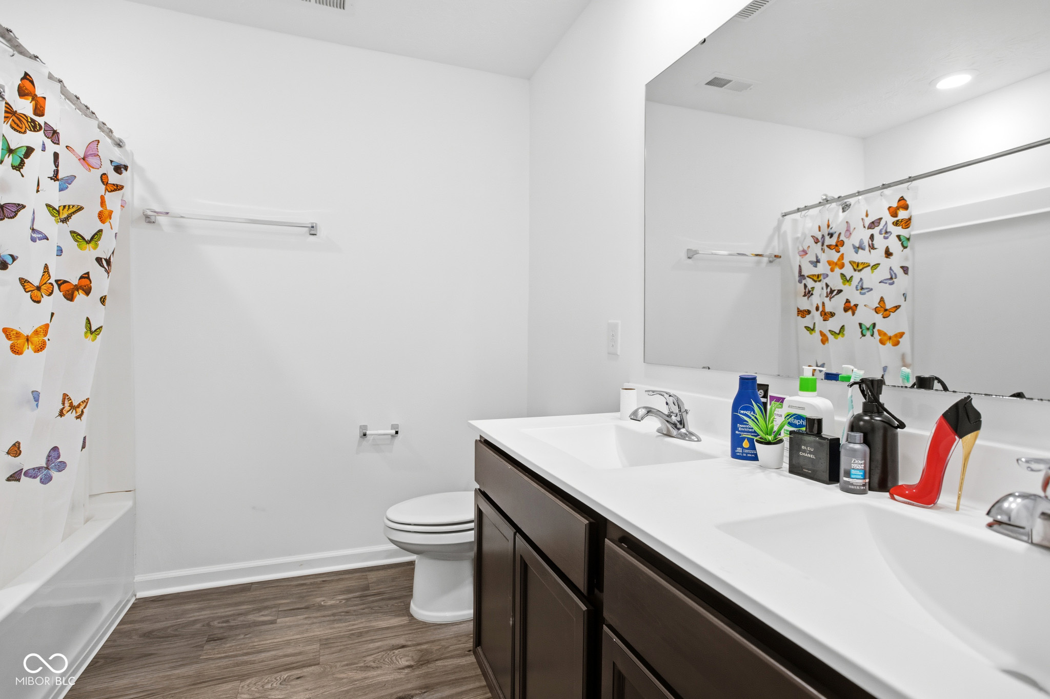 10317 Caprock Canyon Drive