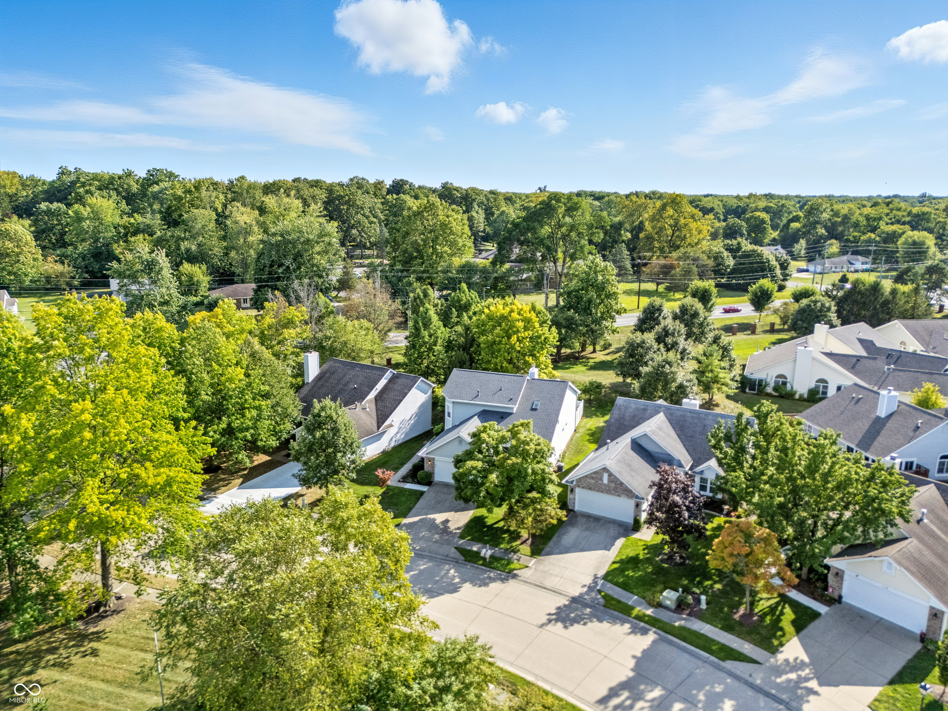 7316 Brackenwood Drive