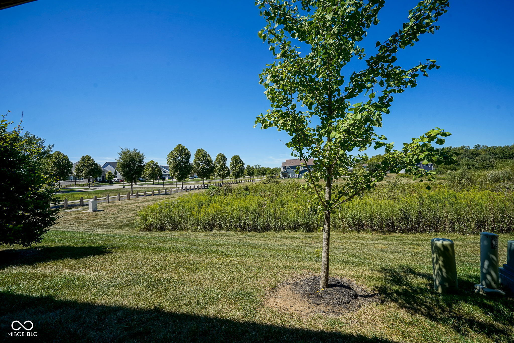 14226 Frostburg Drive