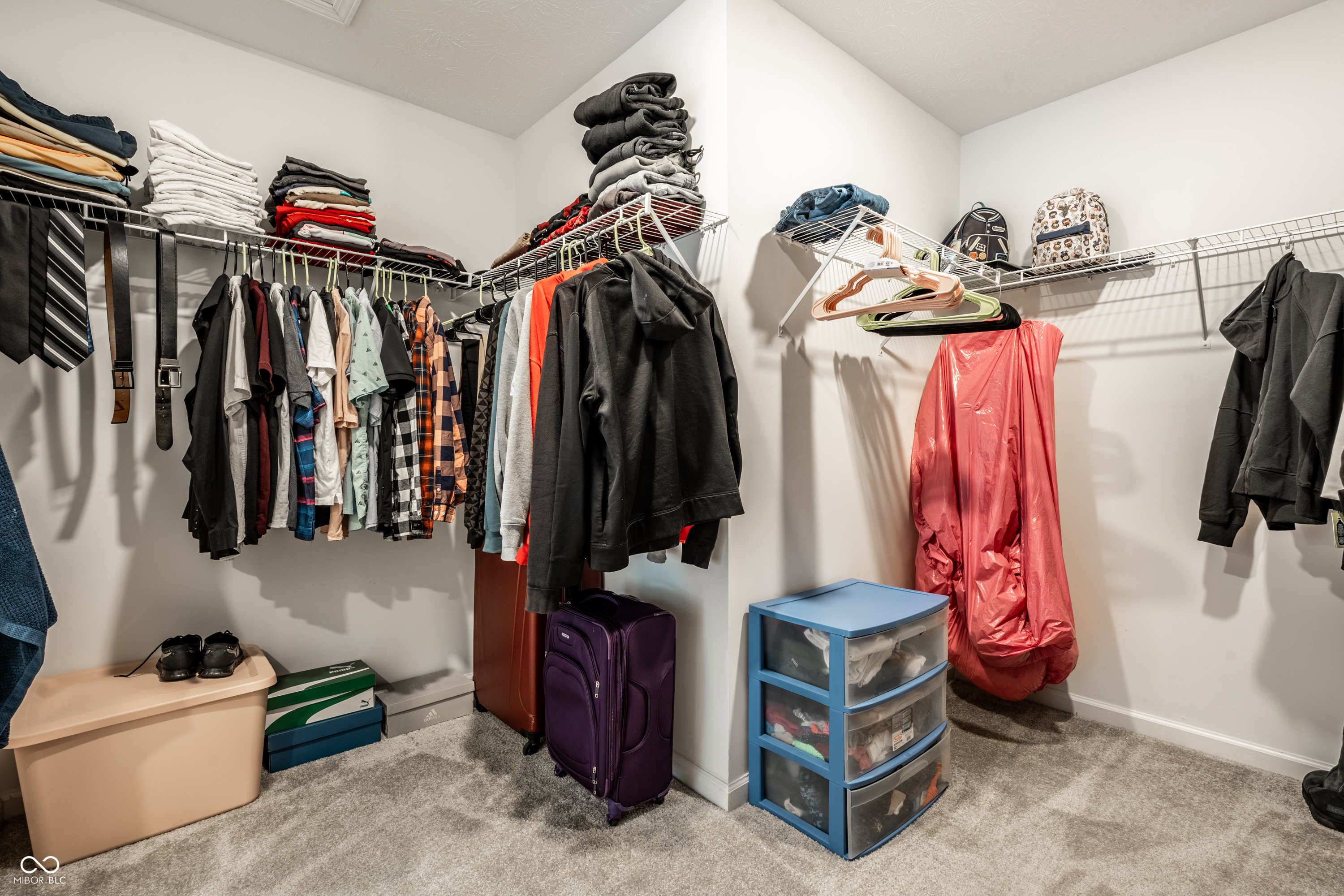 11629 Brookwood Trace Lane