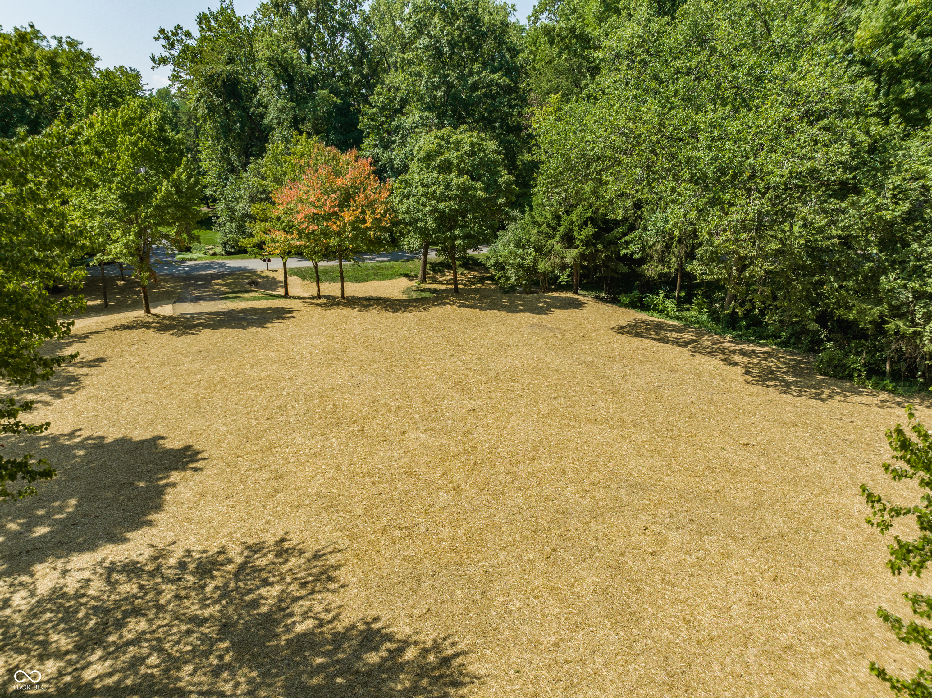 540 & 550 Forest Boulevard