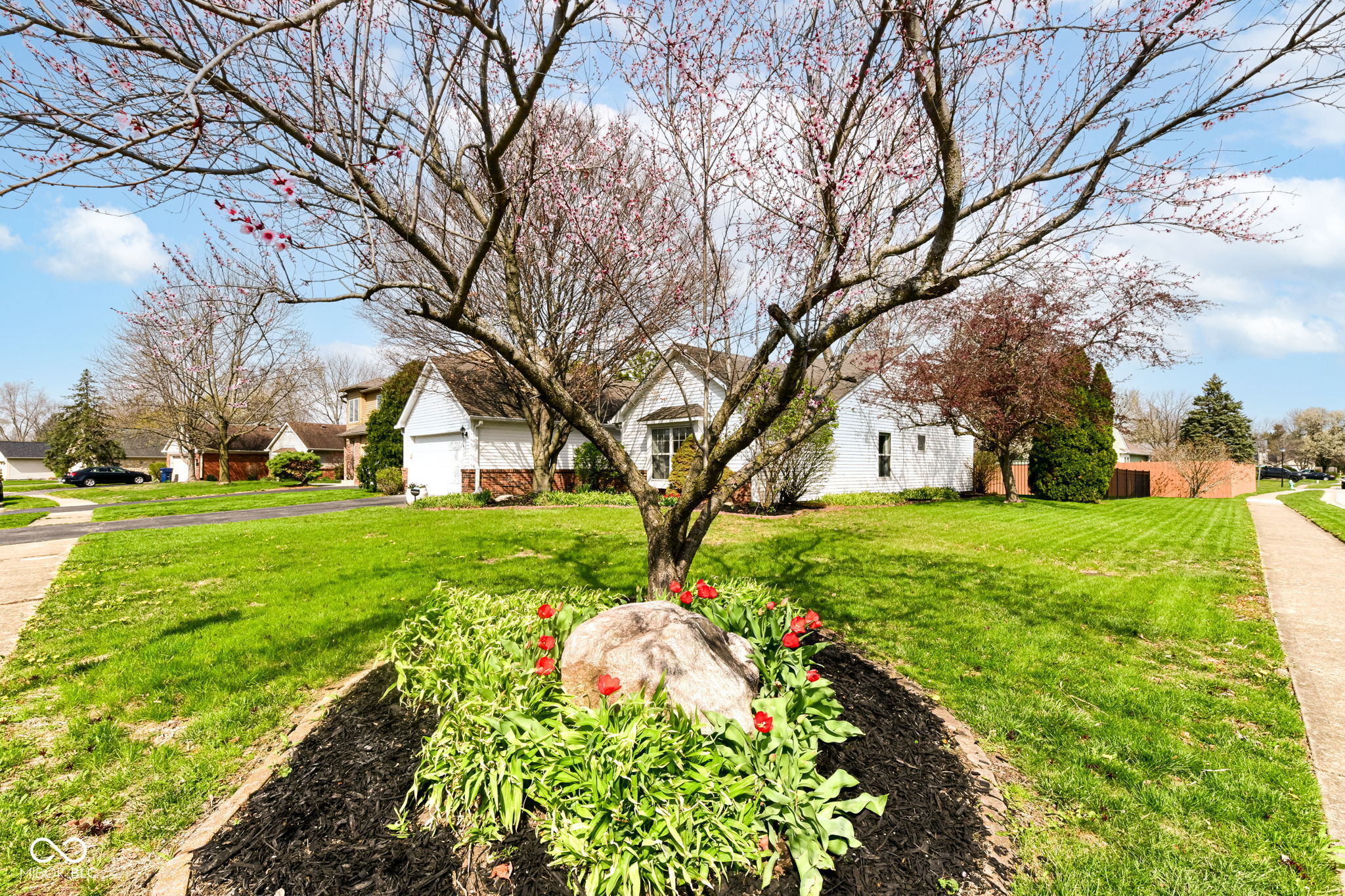 6896 Cherry Laurel Lane