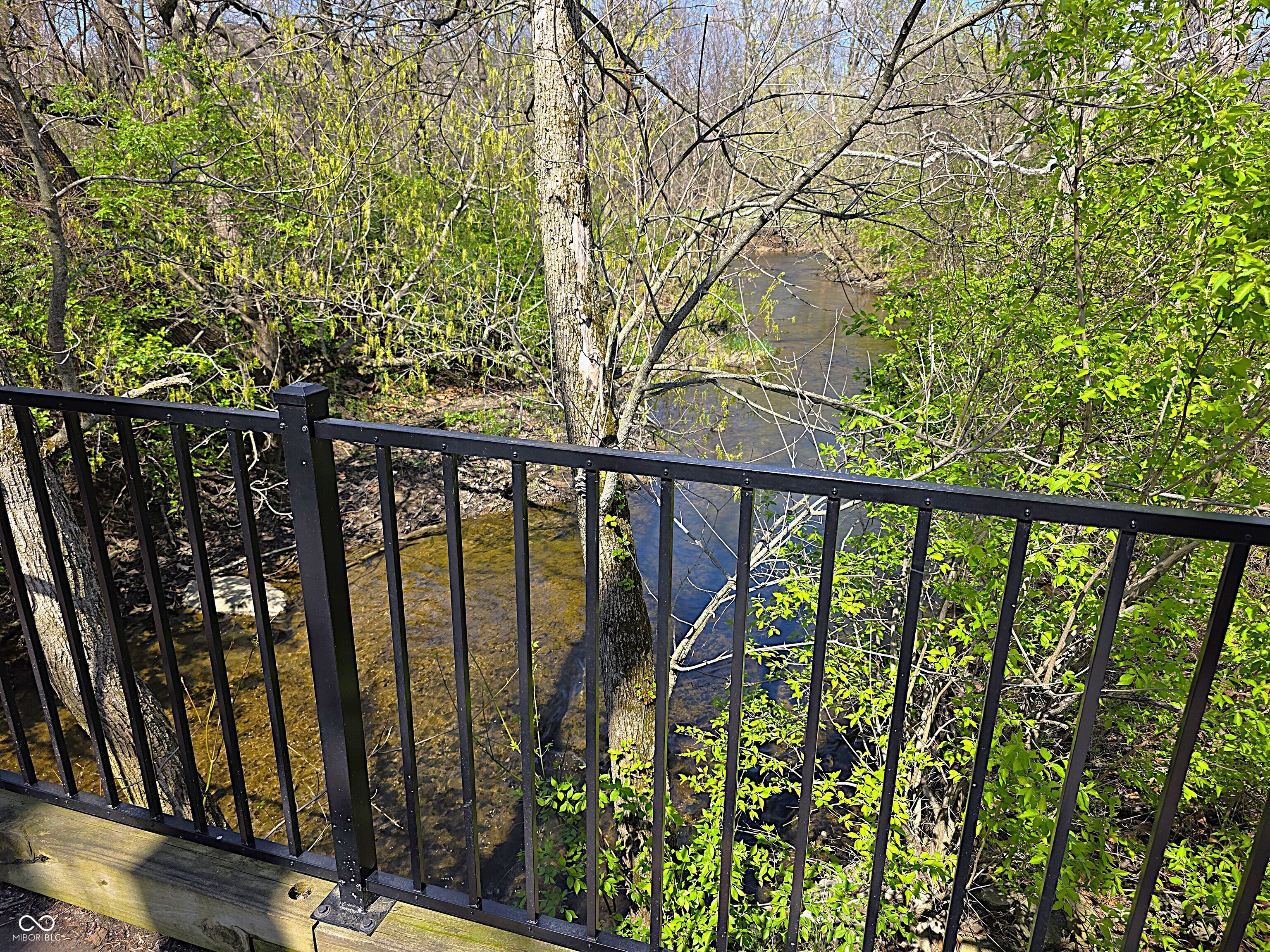 499 Jacksons Grant Boulevard