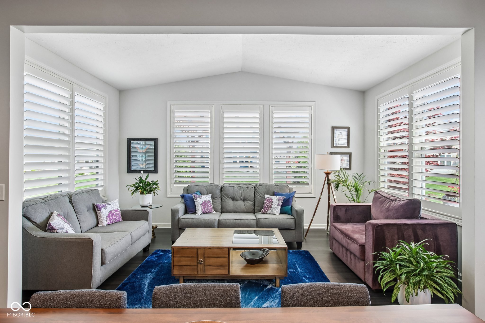 3769 Conifer Drive