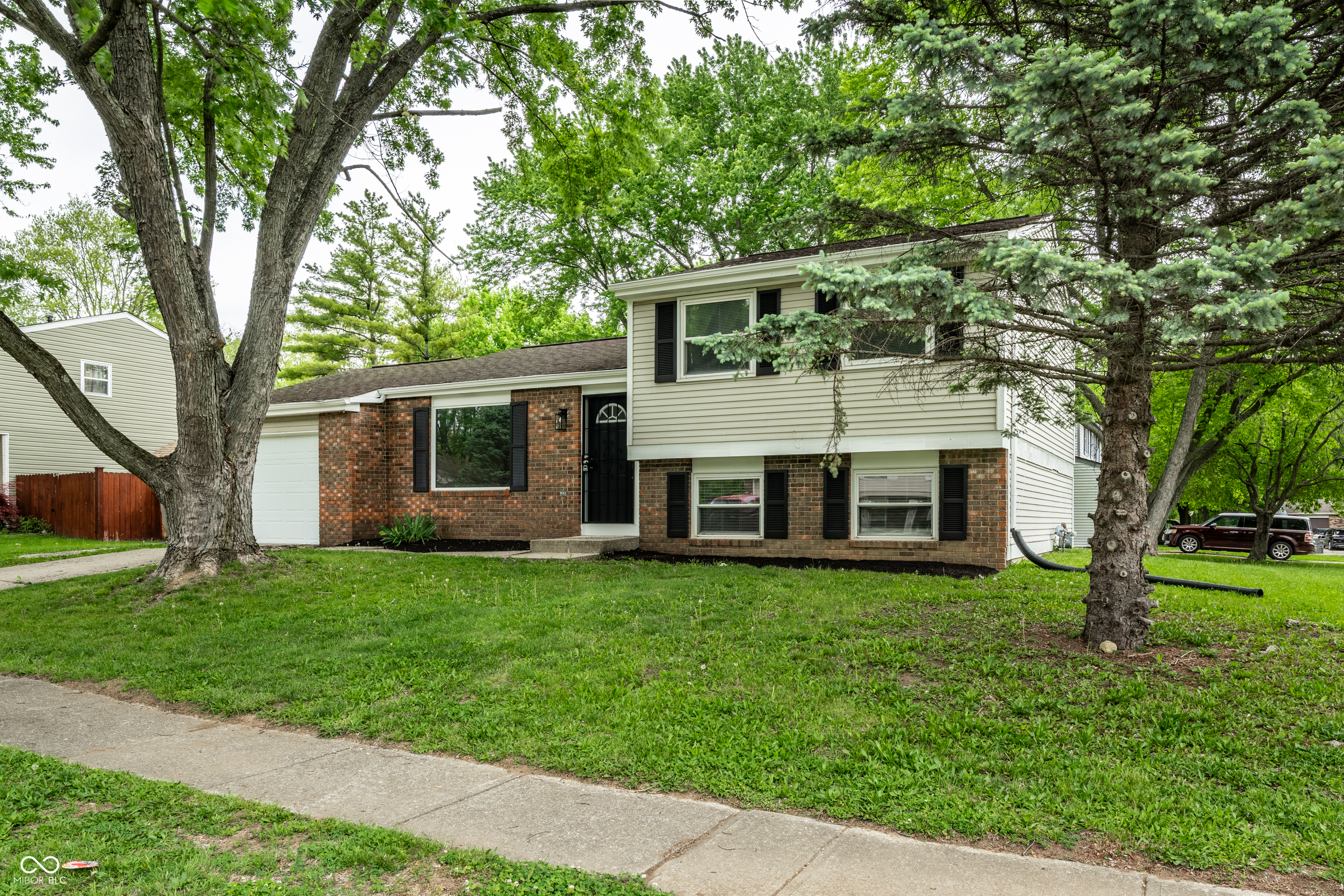 1501 Butternut Lane